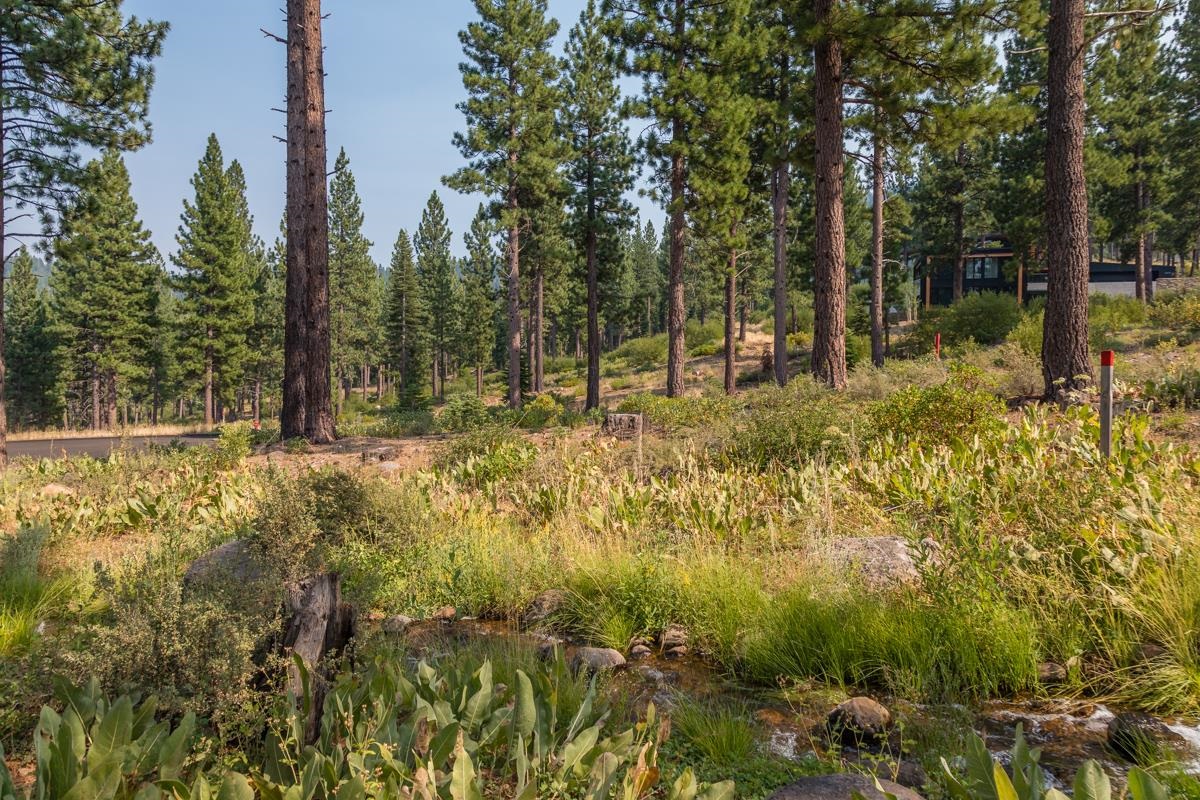 2412 Newhall Court, Truckee, CA 96161