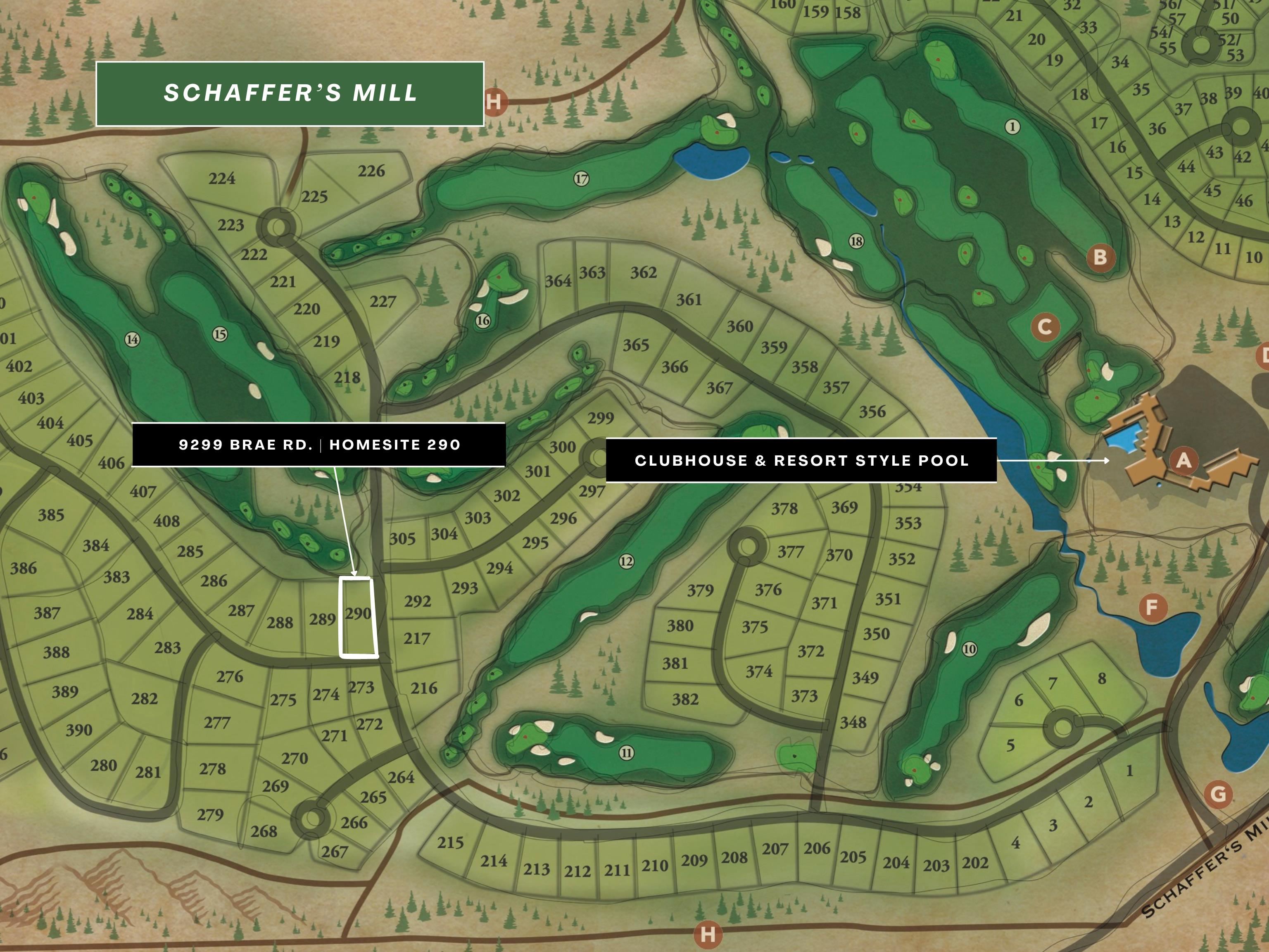 MLS #20241154 image #3