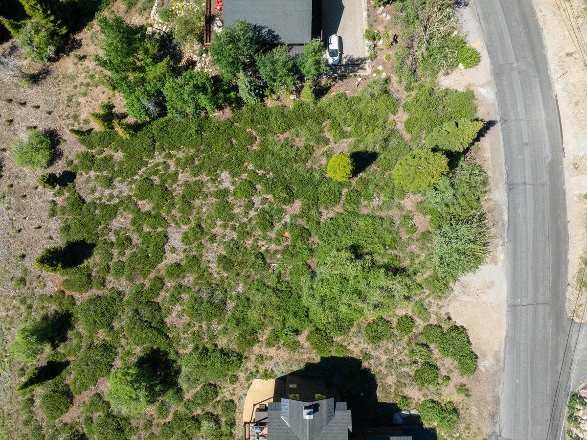 MLS #20241198 image #17