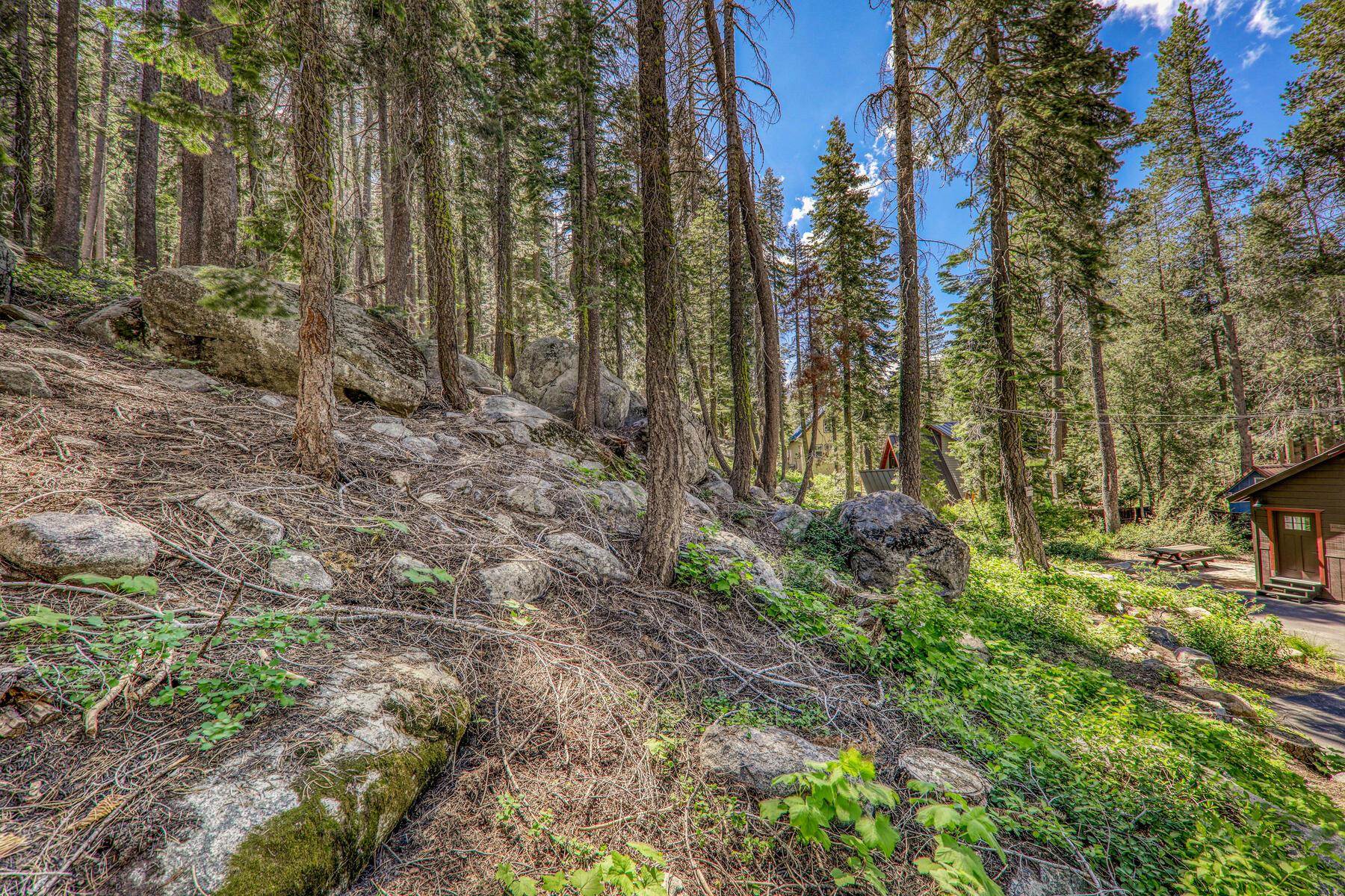 MLS #20241270 image #5