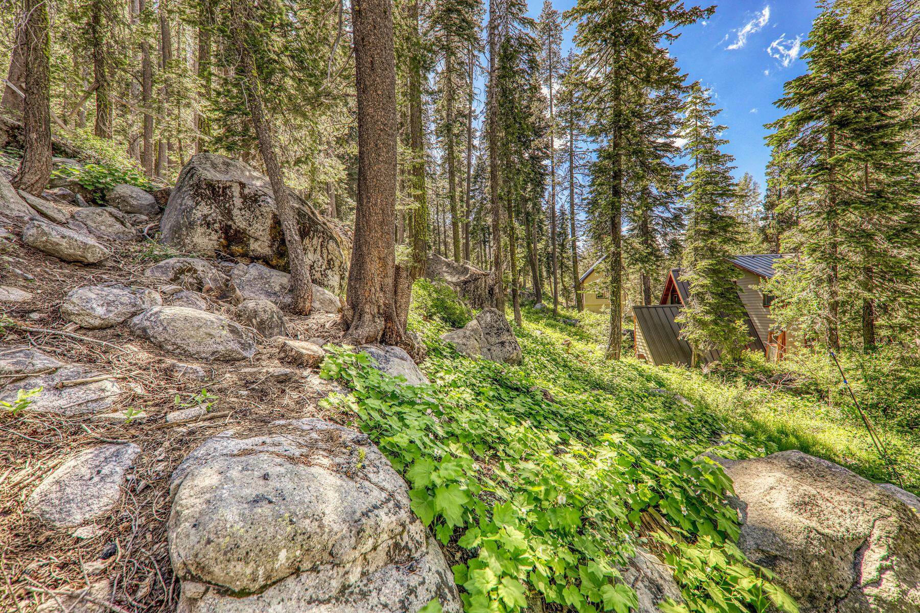 MLS #20241270 image #7