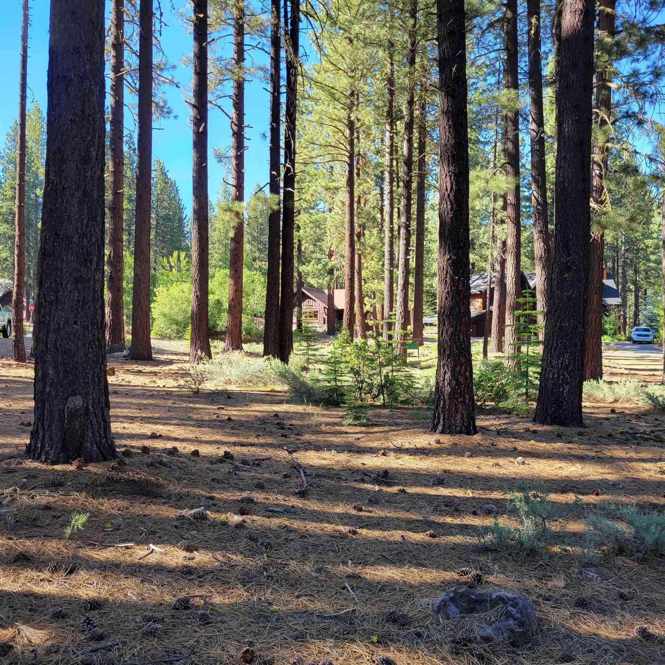 MLS #20241314 image #2