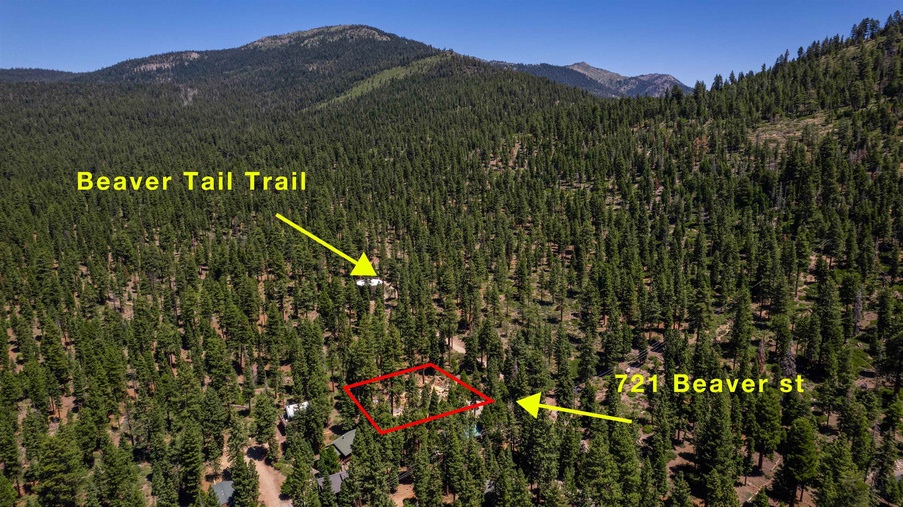 MLS #20241324 image #14