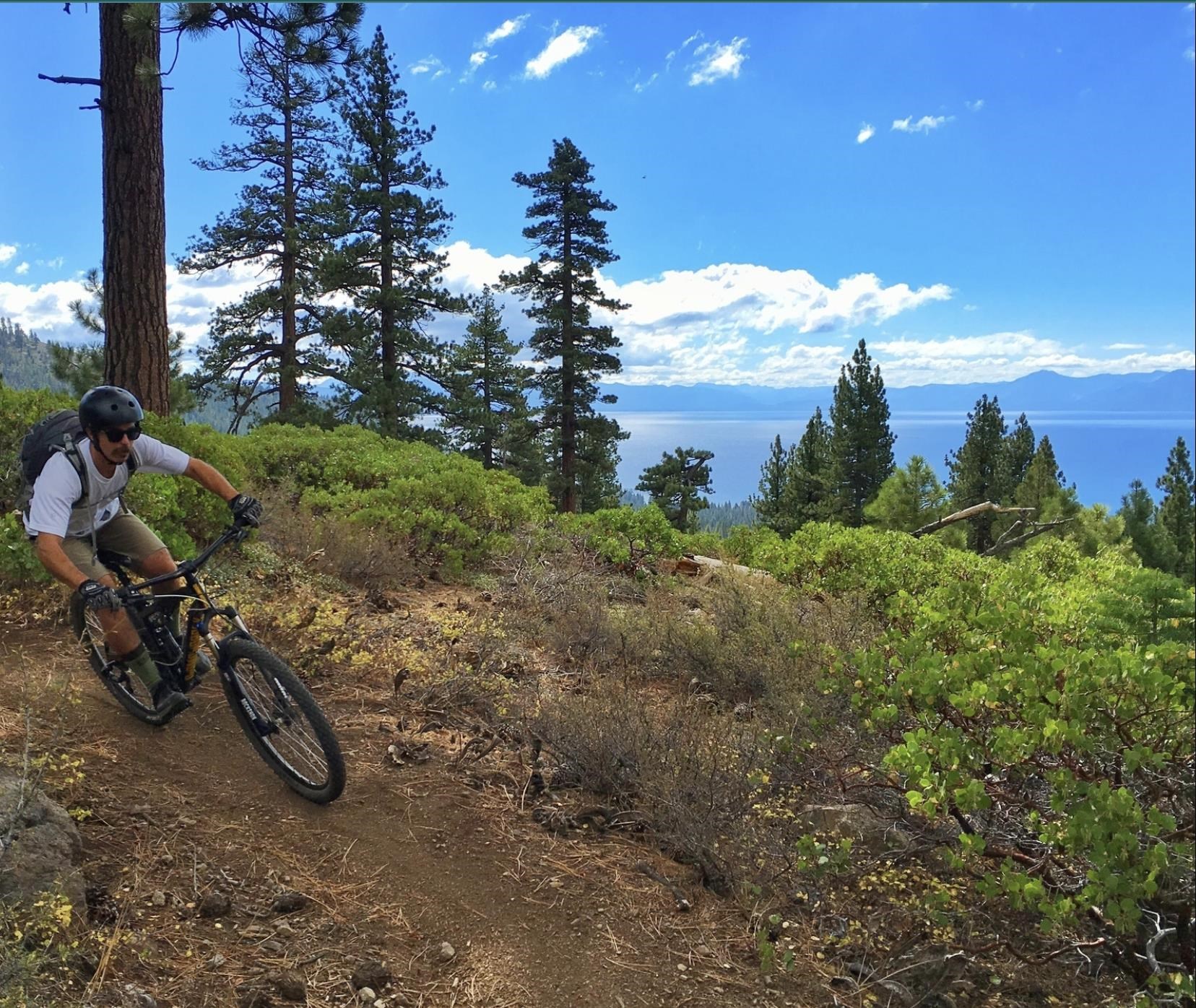 MLS #20241324 image #15