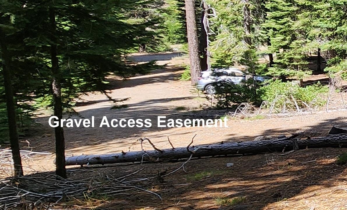 MLS #20241427 image #5