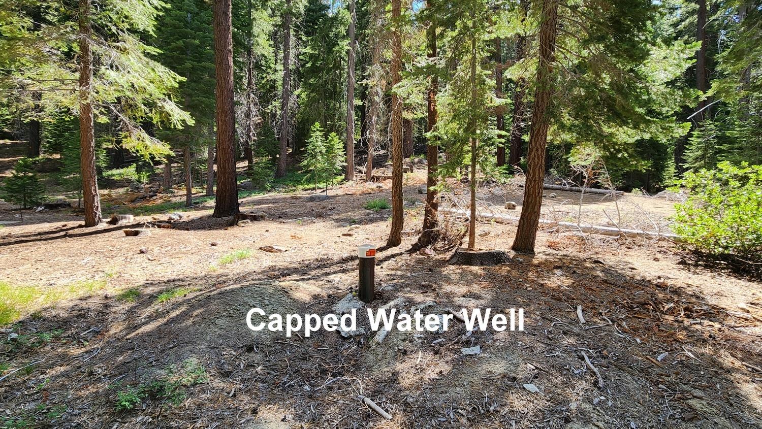 MLS #20241427 image #7