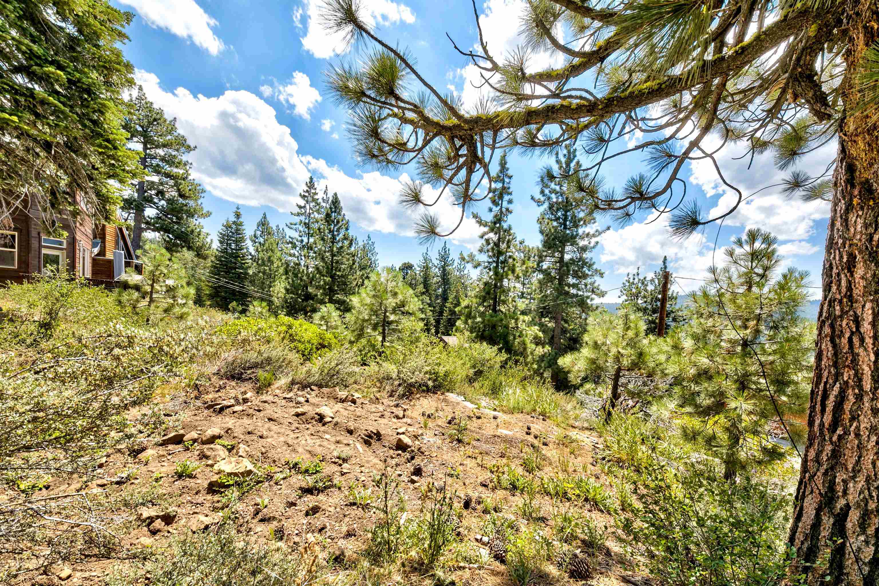 MLS #20241516 image #15