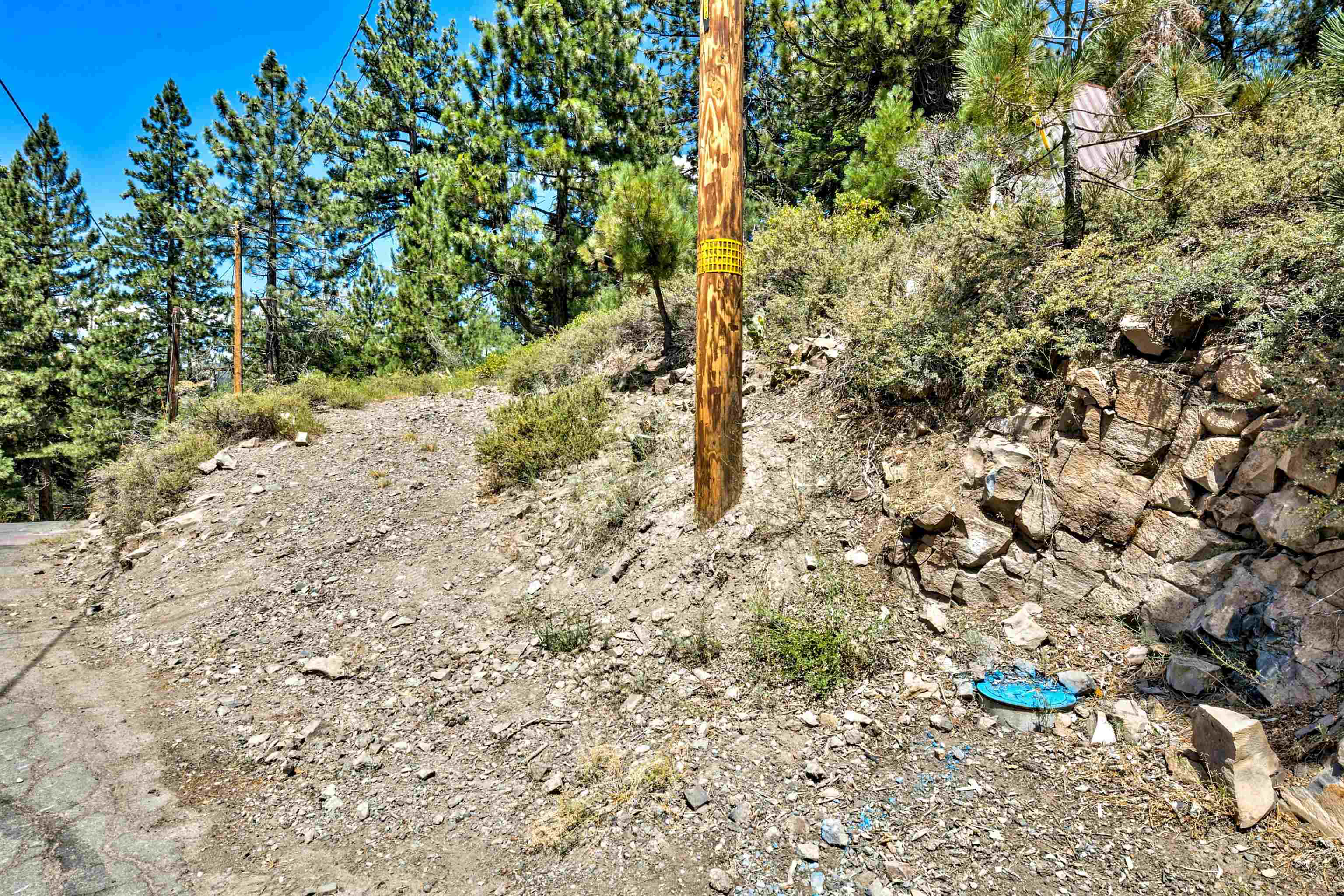 MLS #20241516 image #7