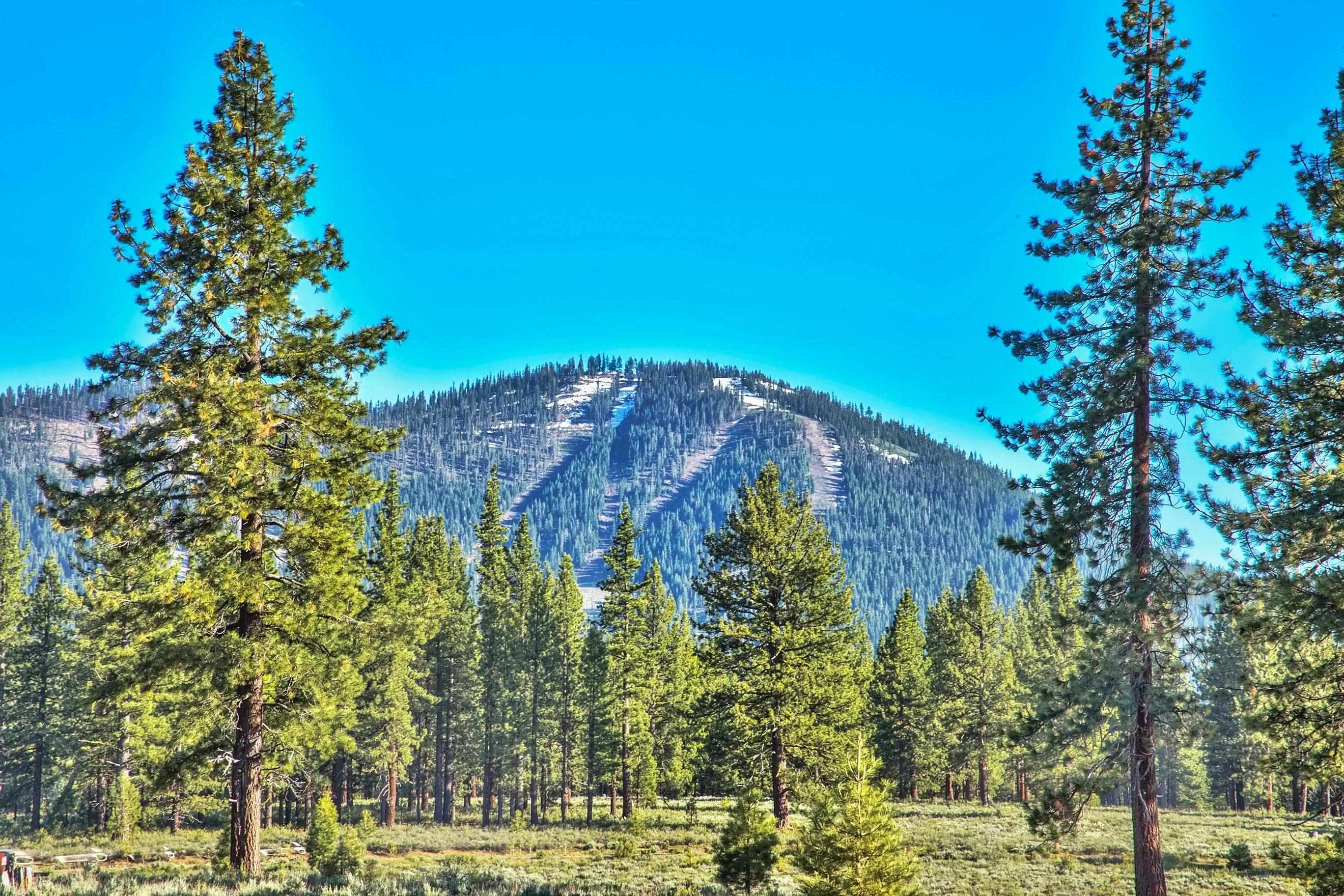 MLS #20241534 img 0