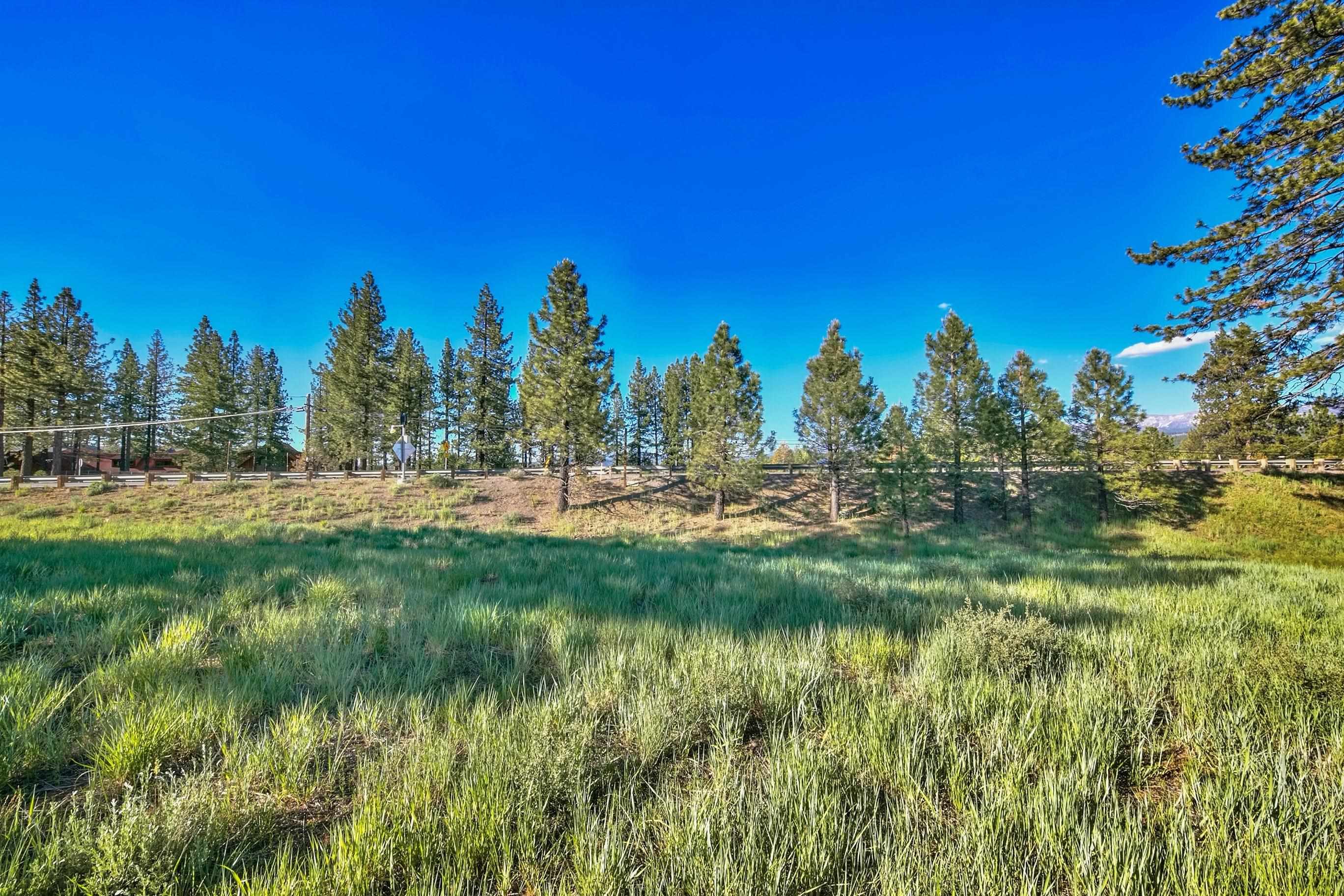 MLS #20241534 image #13