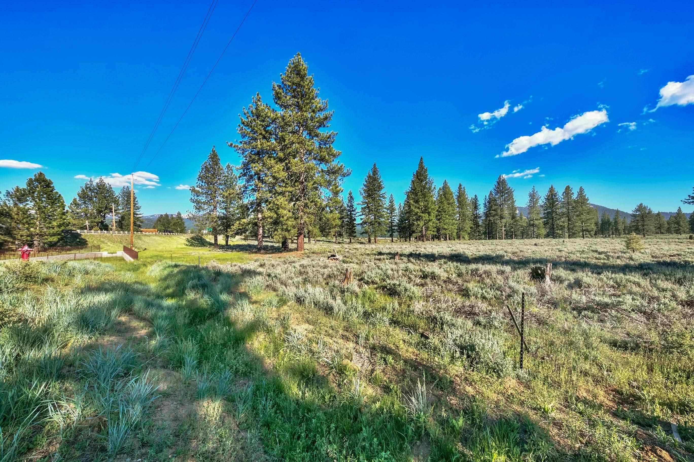 MLS #20241534 image #14