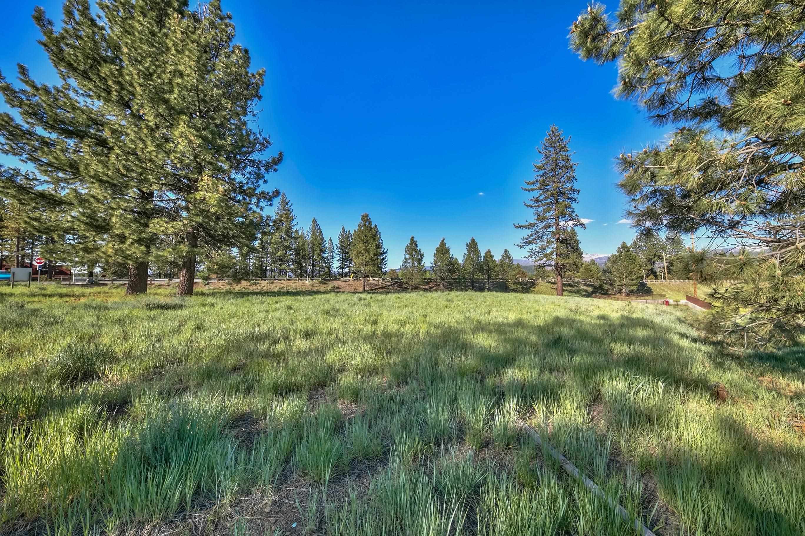 MLS #20241534 image #16