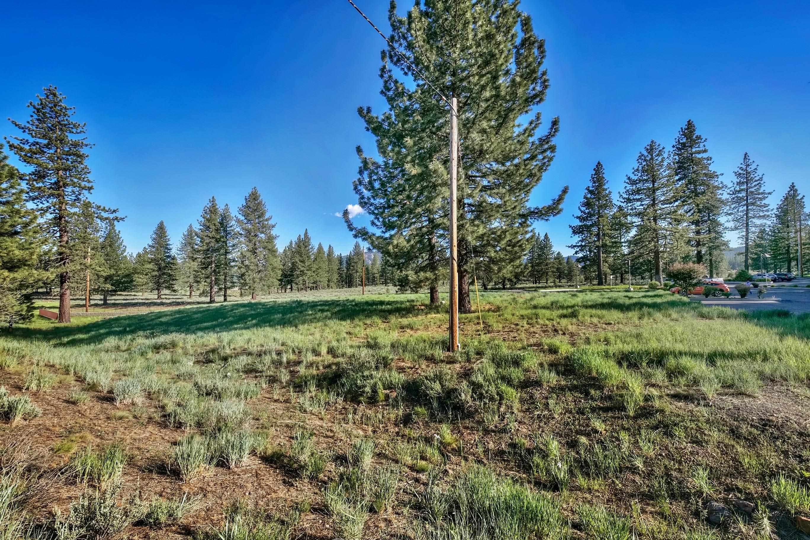 MLS #20241534 image #8