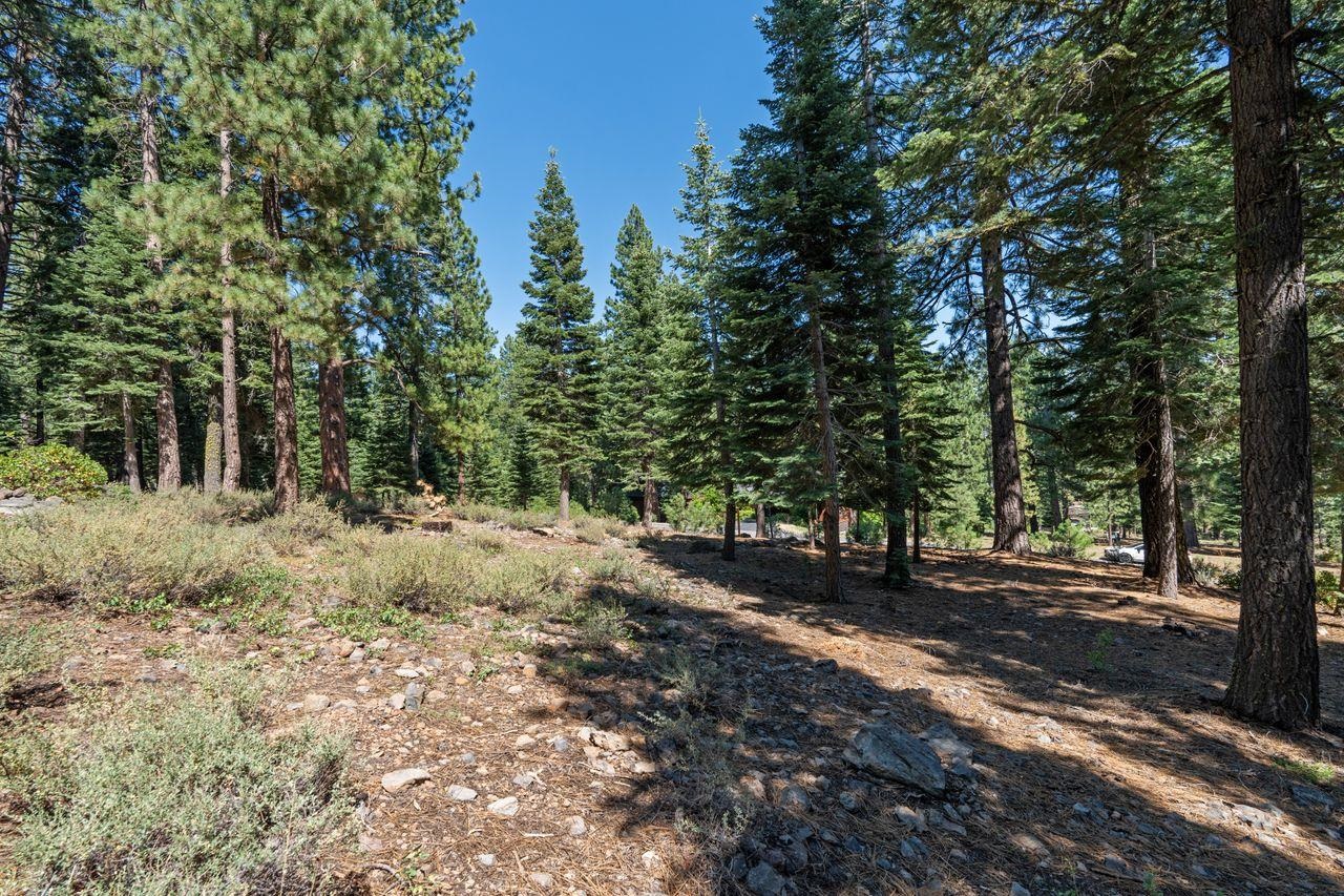 MLS #20241575 image #16