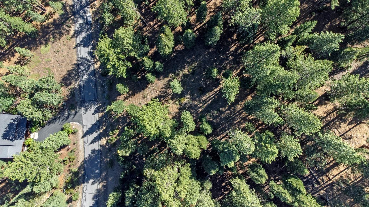 MLS #20241575 image #2