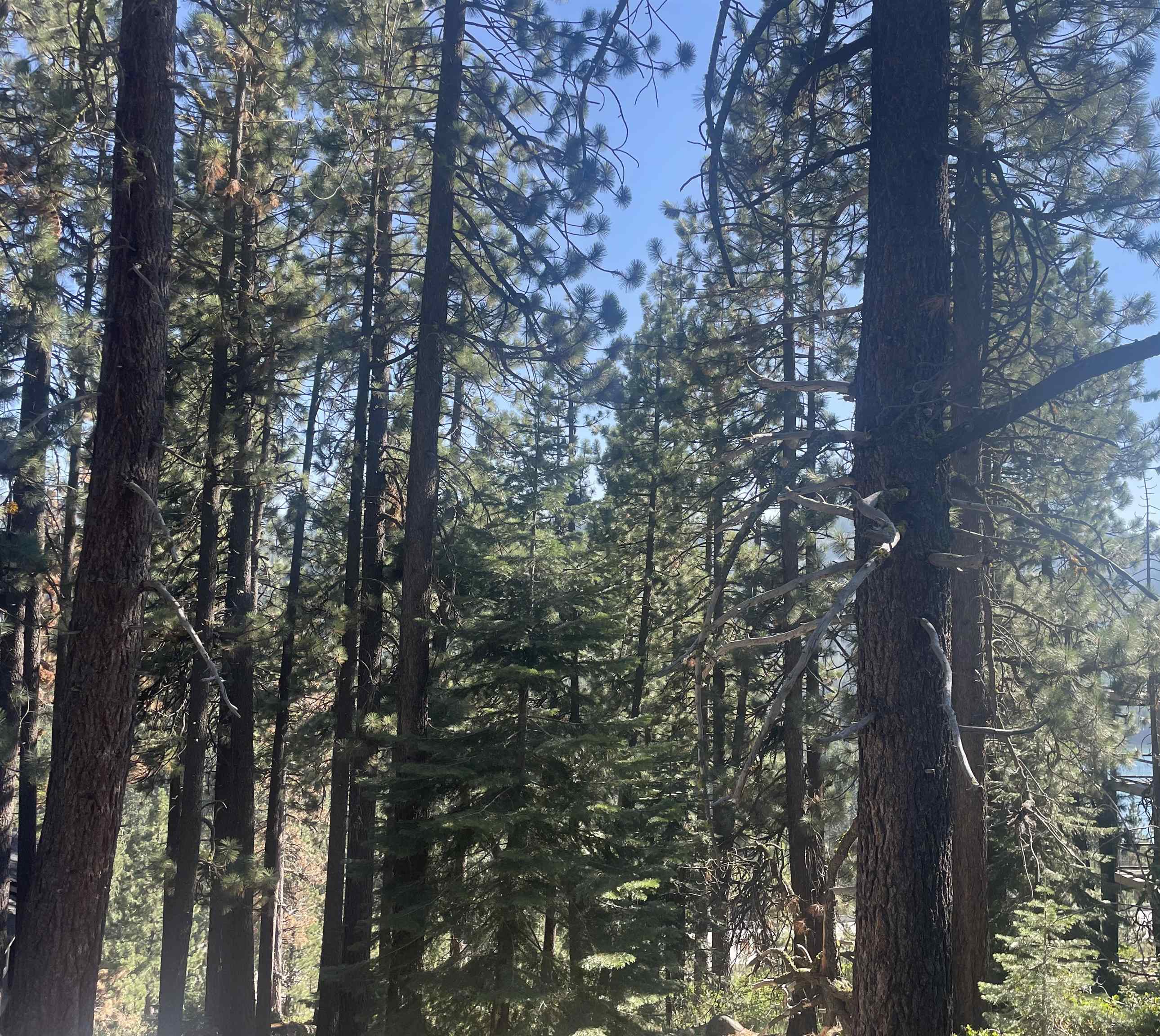 MLS #20241578 image #2