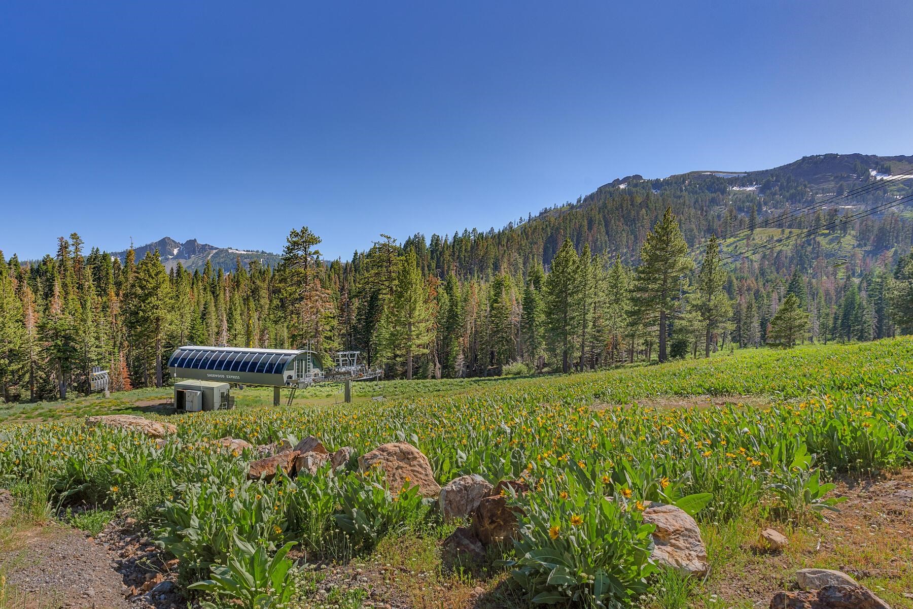 MLS #20241625 image #18