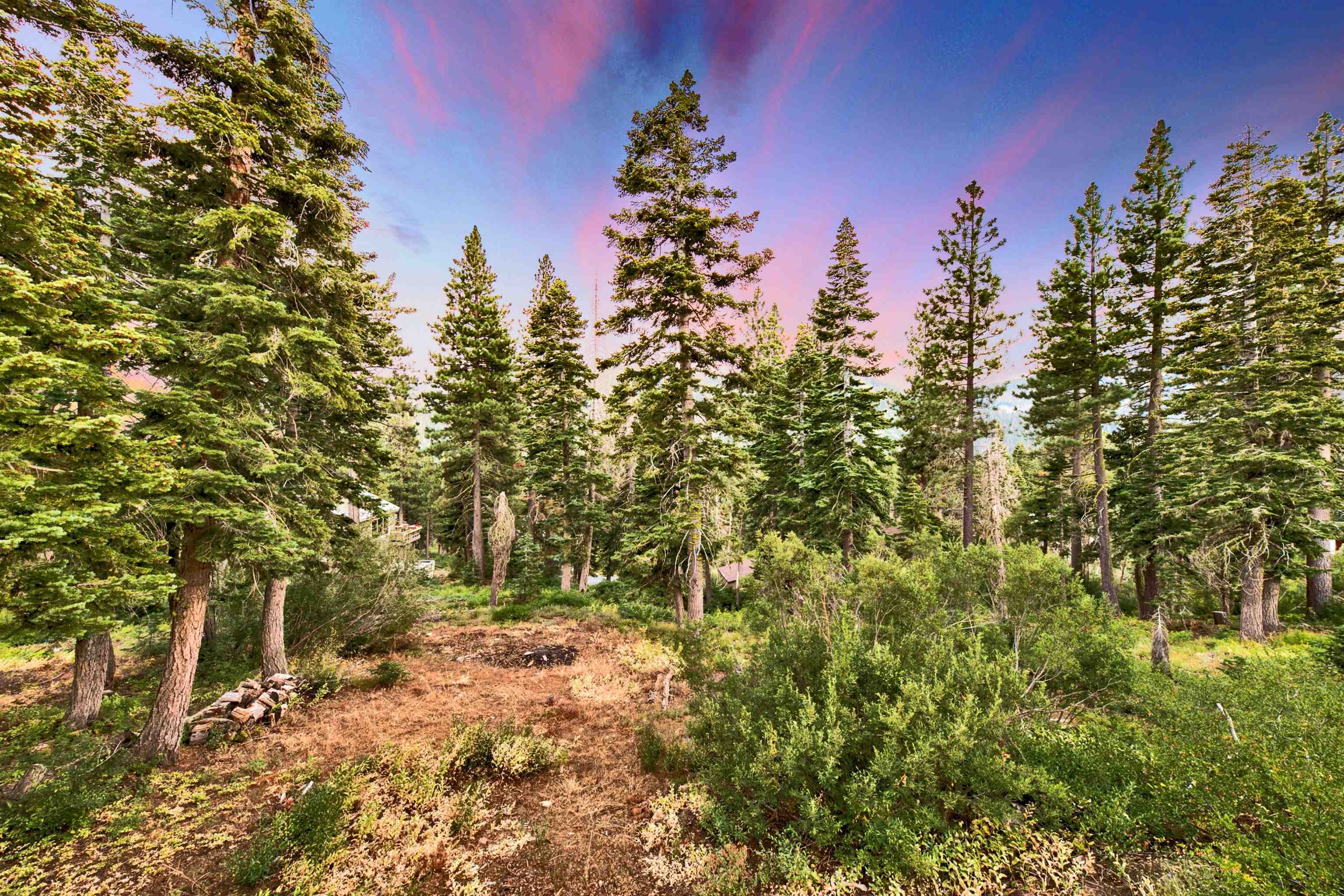 MLS #20241625 image #19