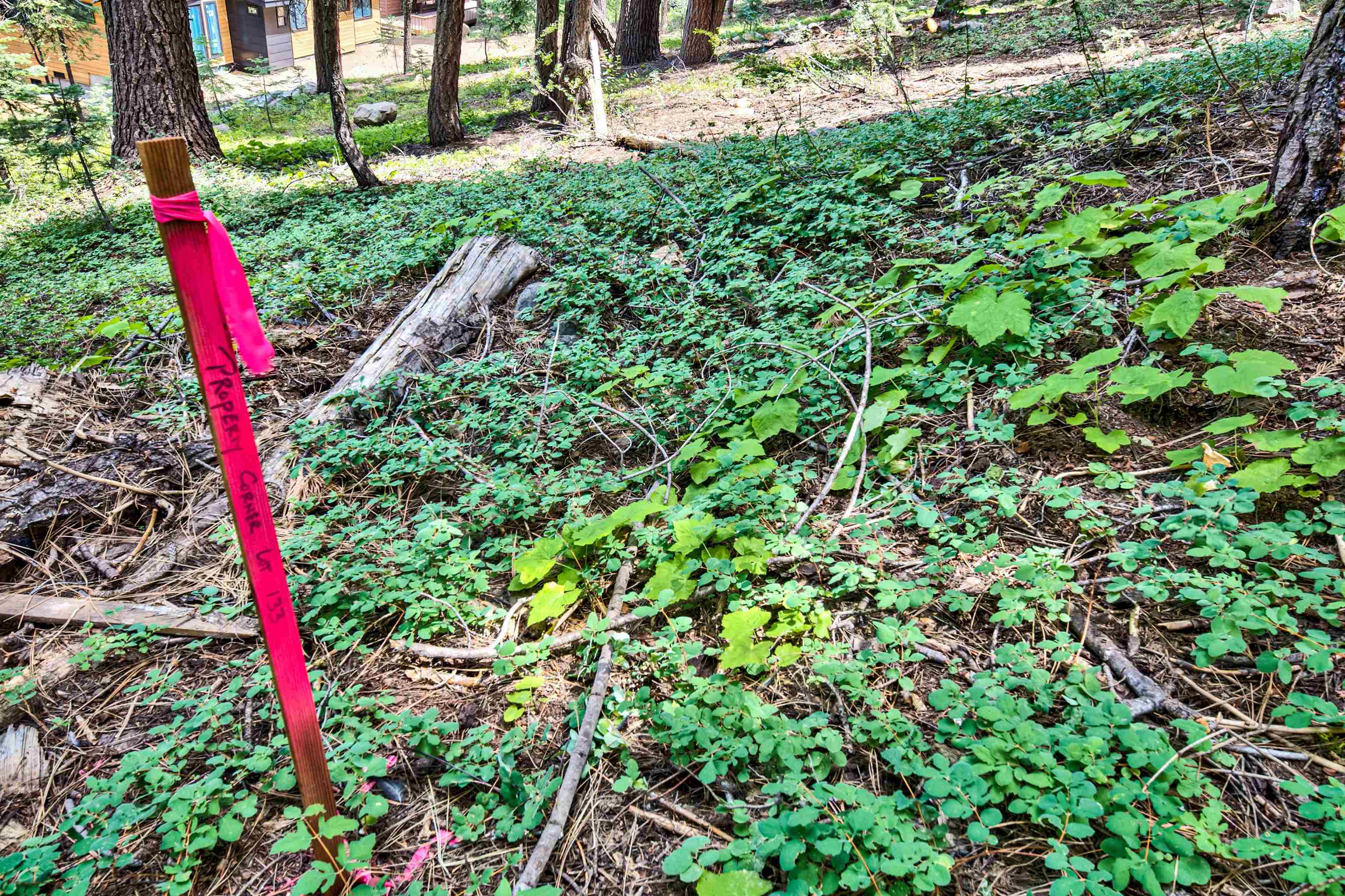 MLS #20241631 image #14