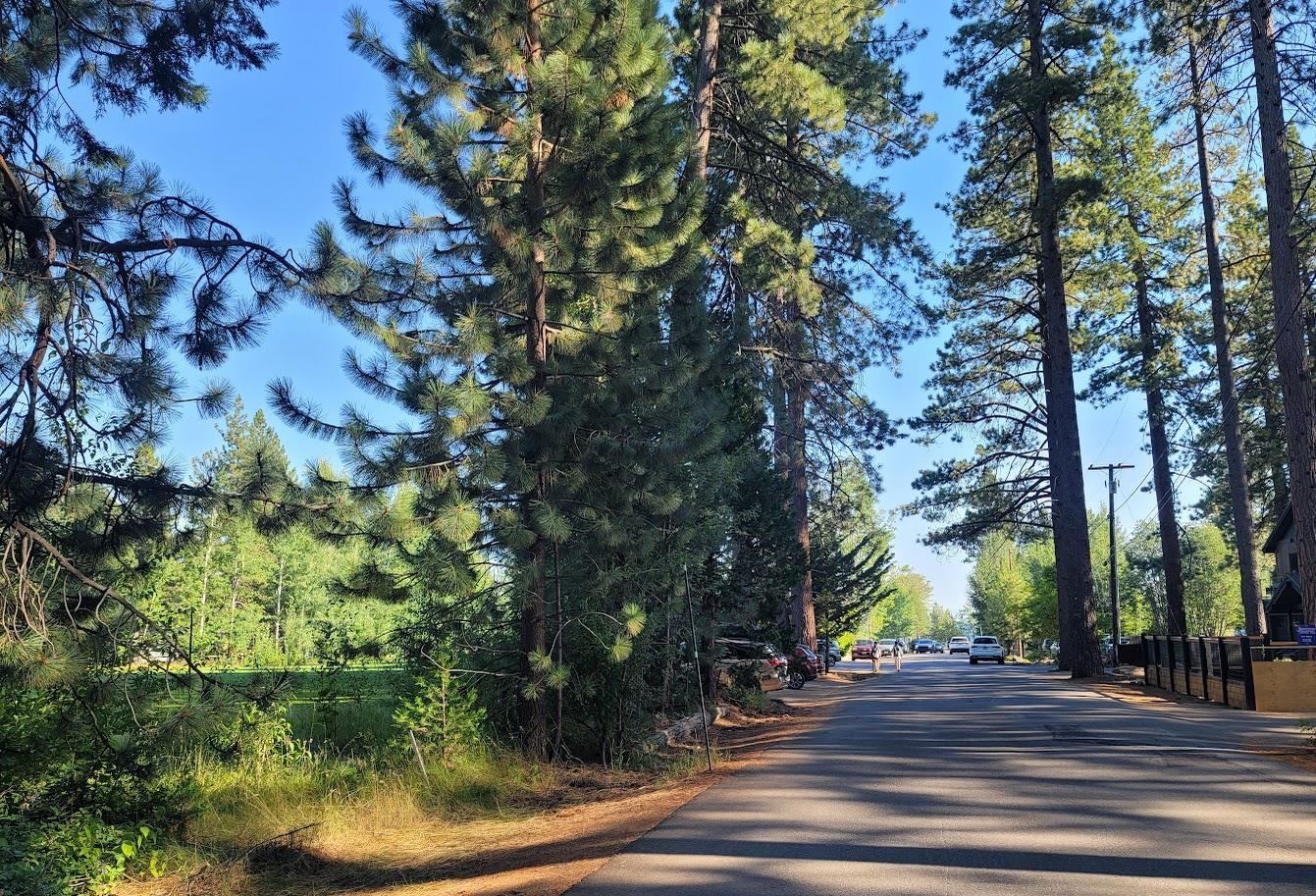 MLS #20241692 image #10