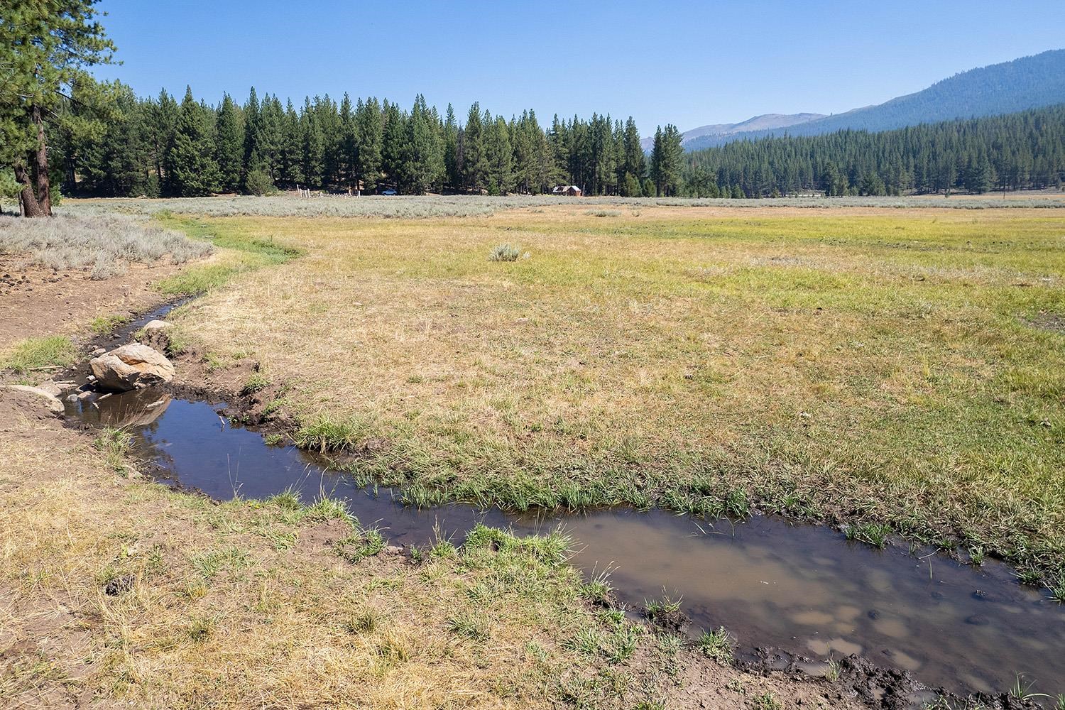 MLS #20241795 image #1