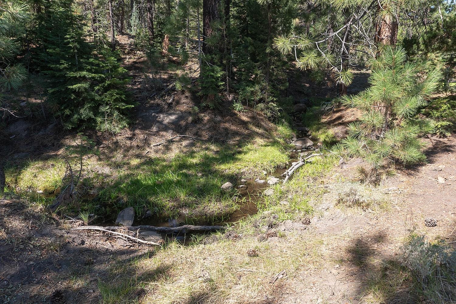 MLS #20241795 image #12