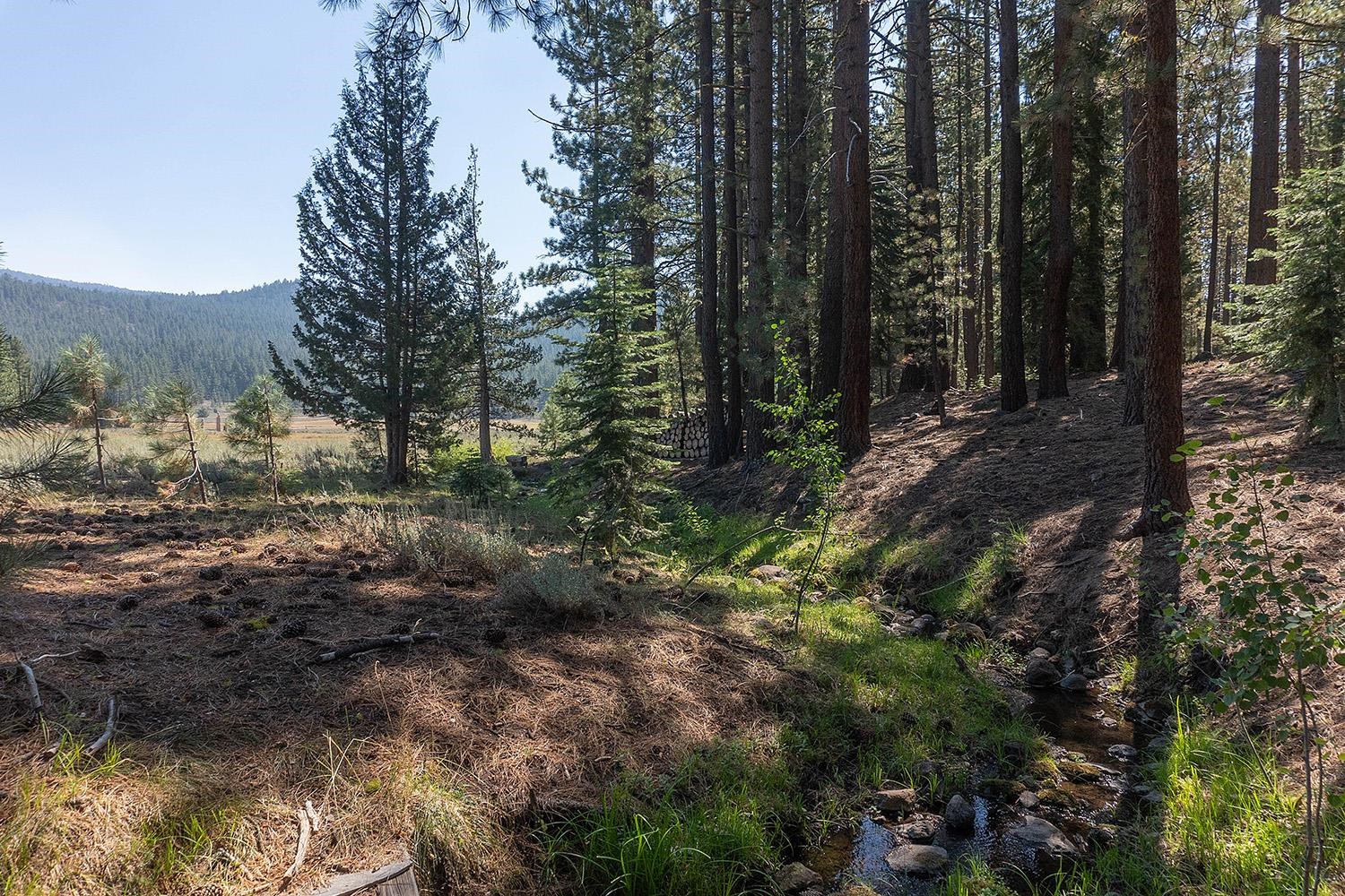 MLS #20241795 image #13