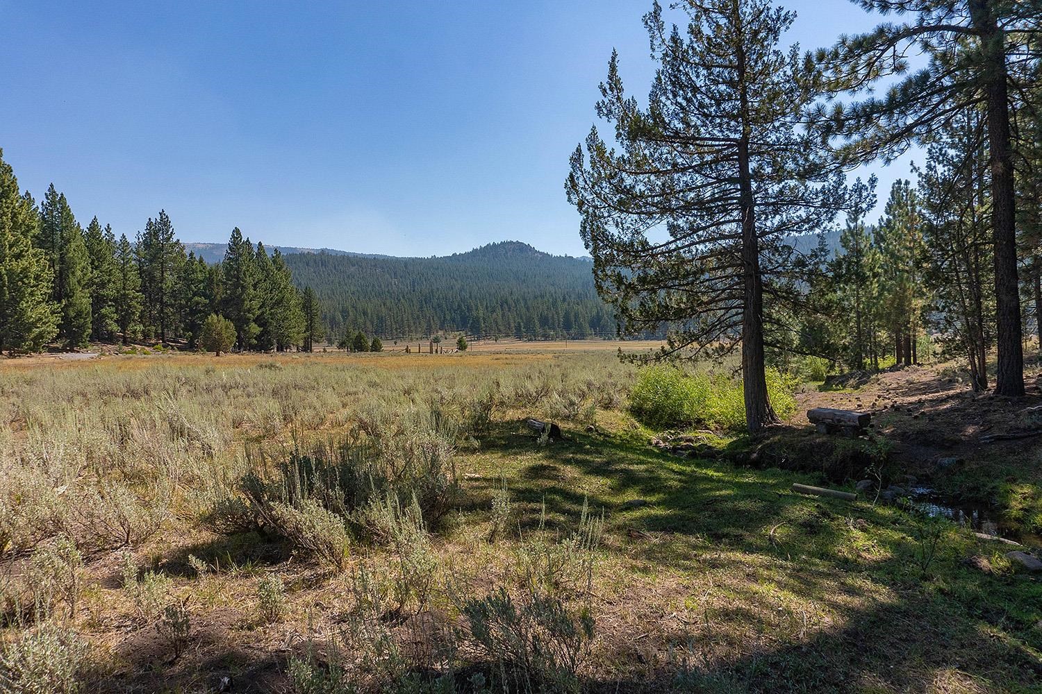 MLS #20241795 image #14