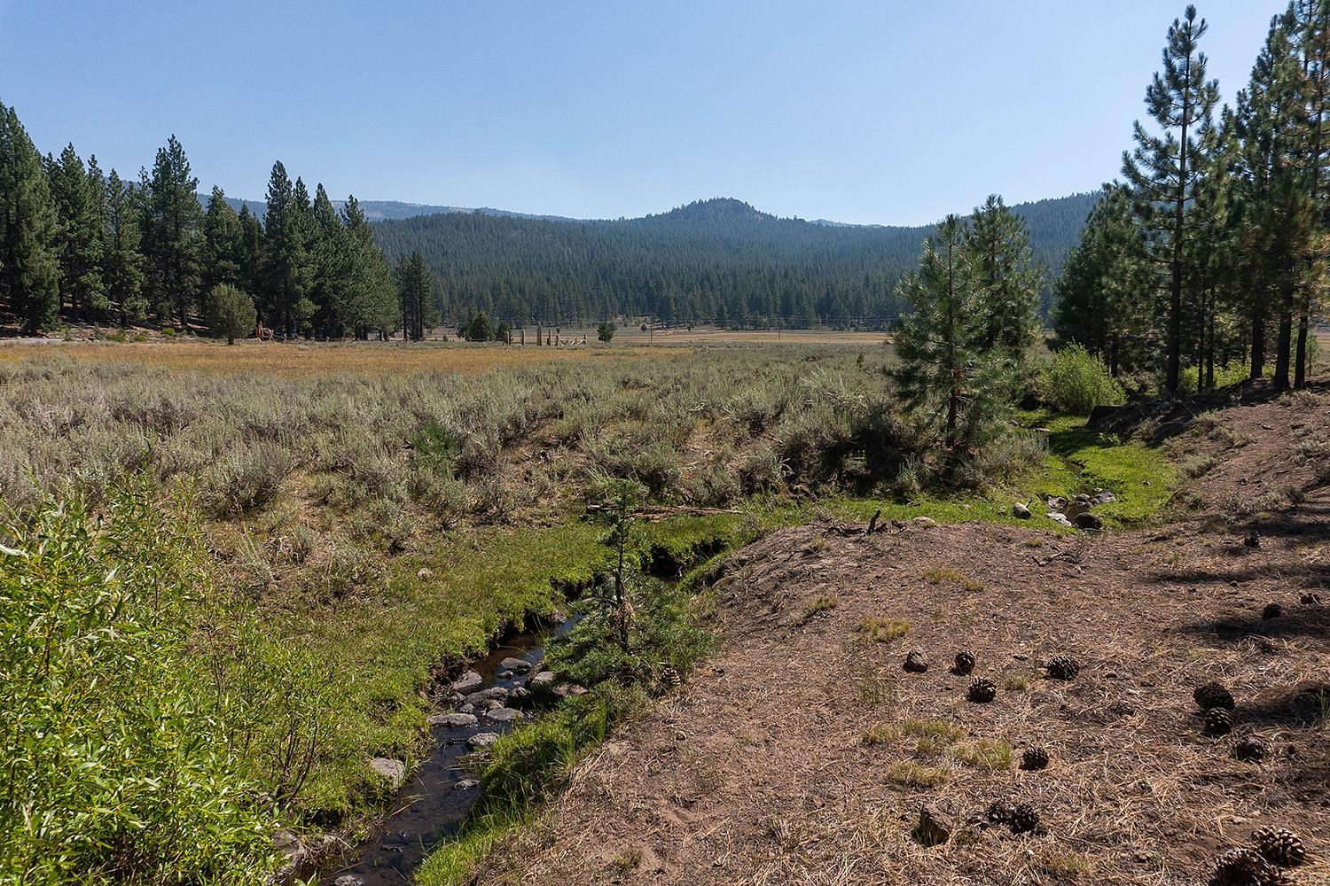 MLS #20241795 image #15