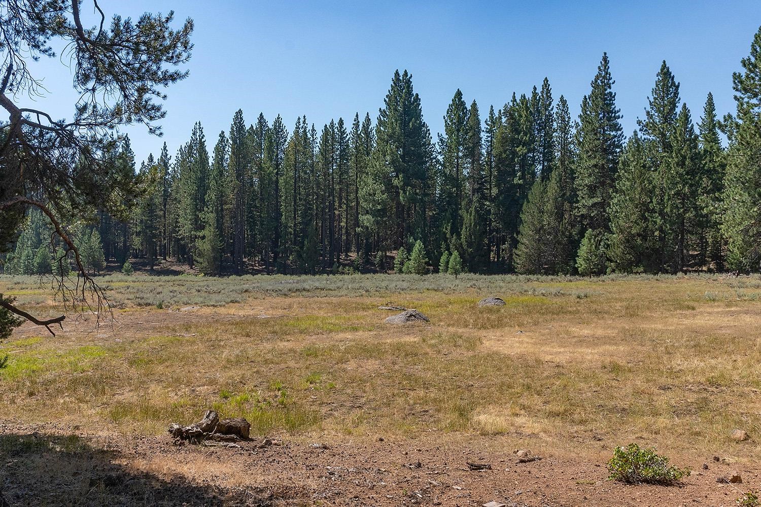 MLS #20241795 image #16