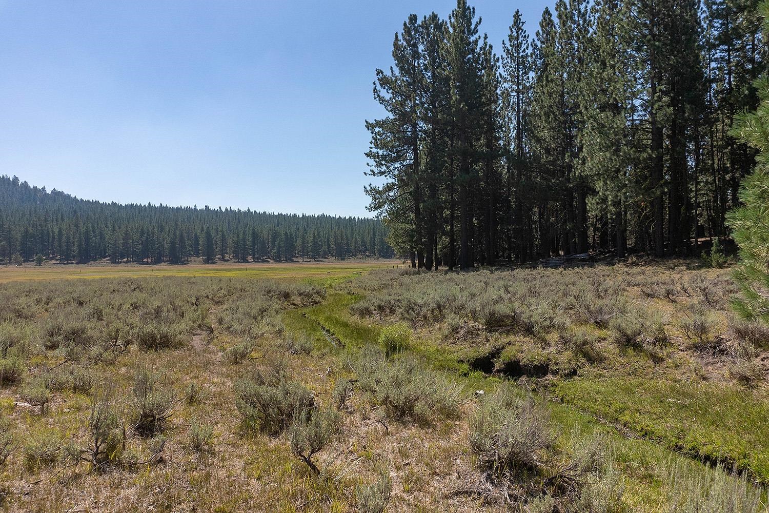 MLS #20241795 image #17