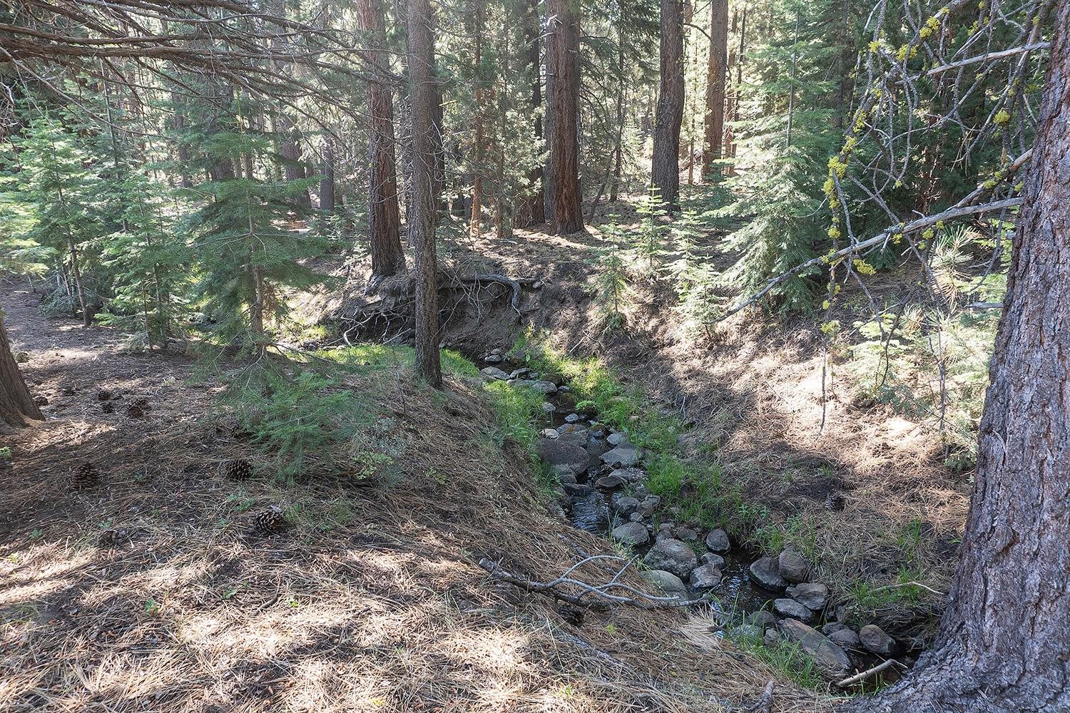 MLS #20241795 image #18