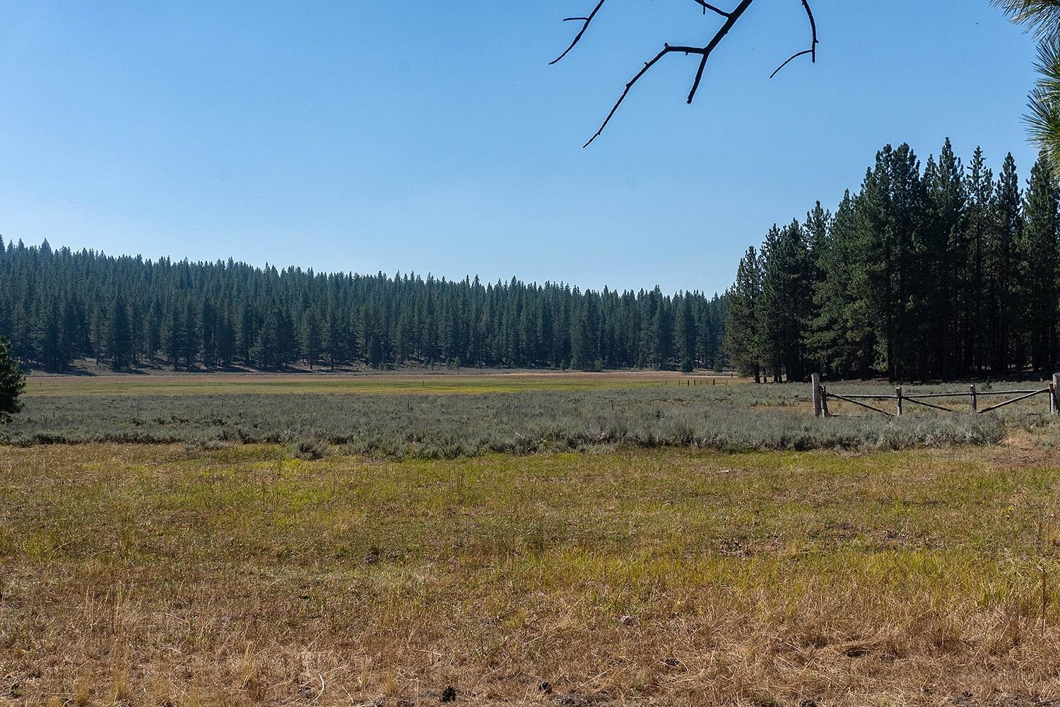 MLS #20241795 image #3