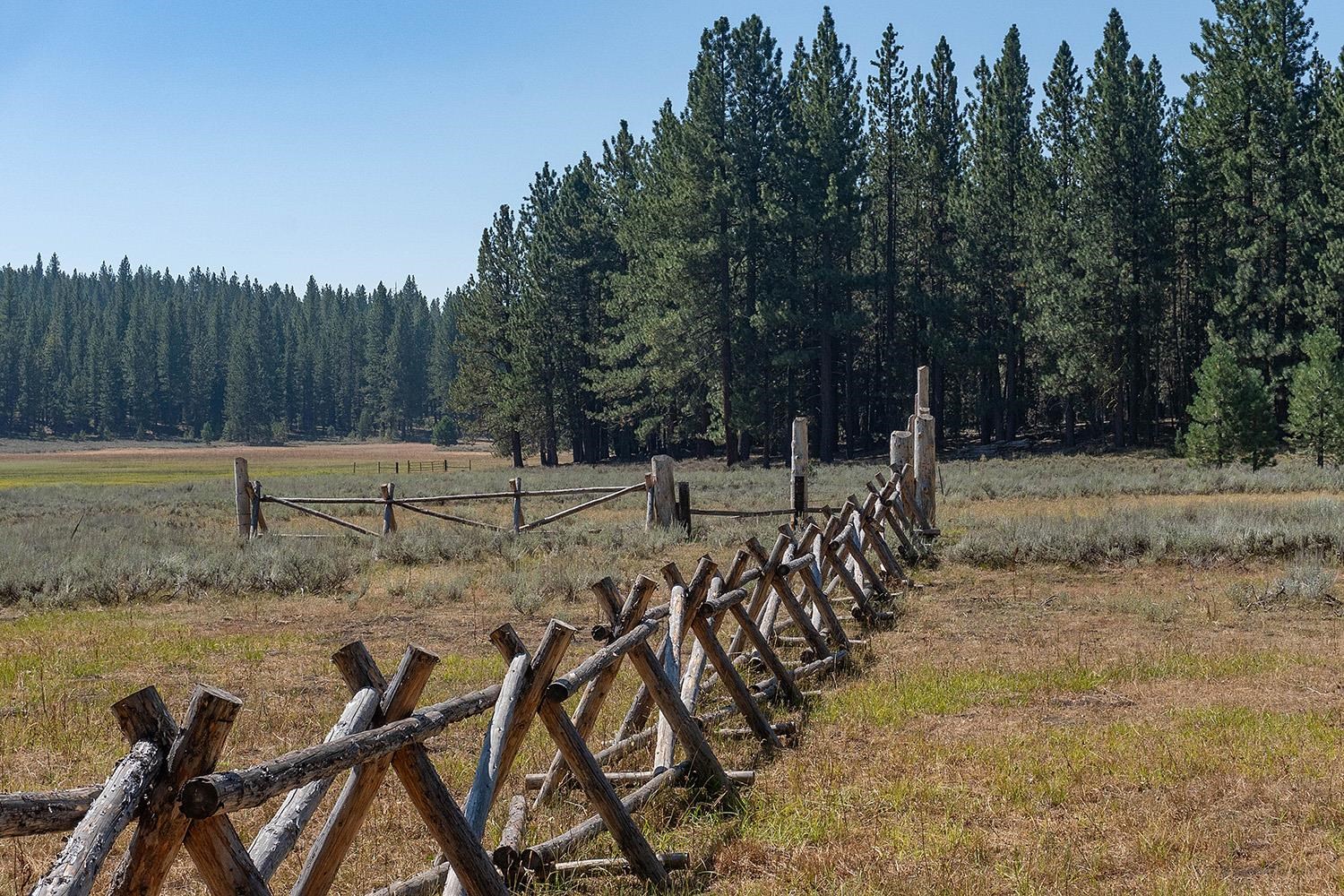 MLS #20241795 image #5