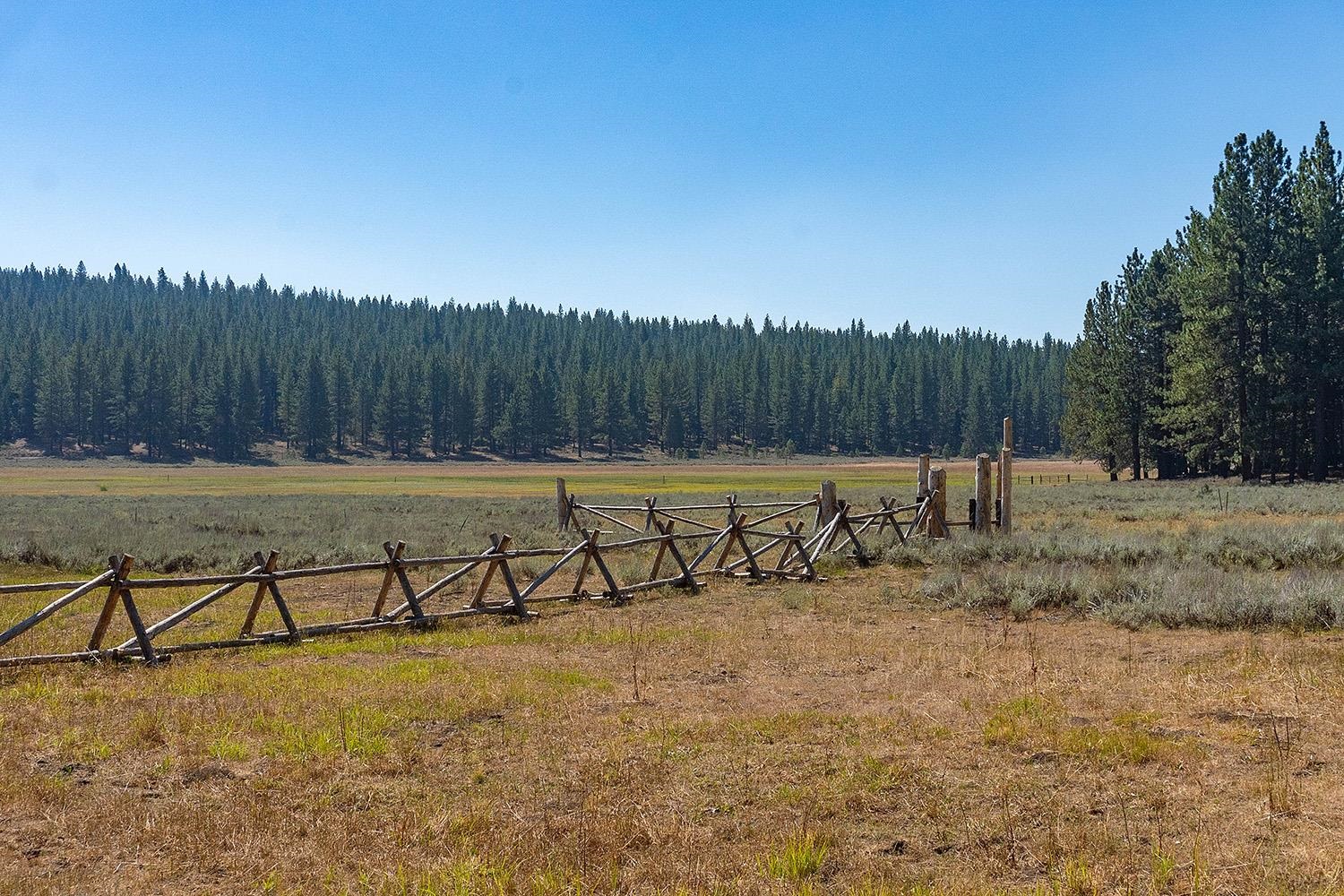 MLS #20241795 image #7