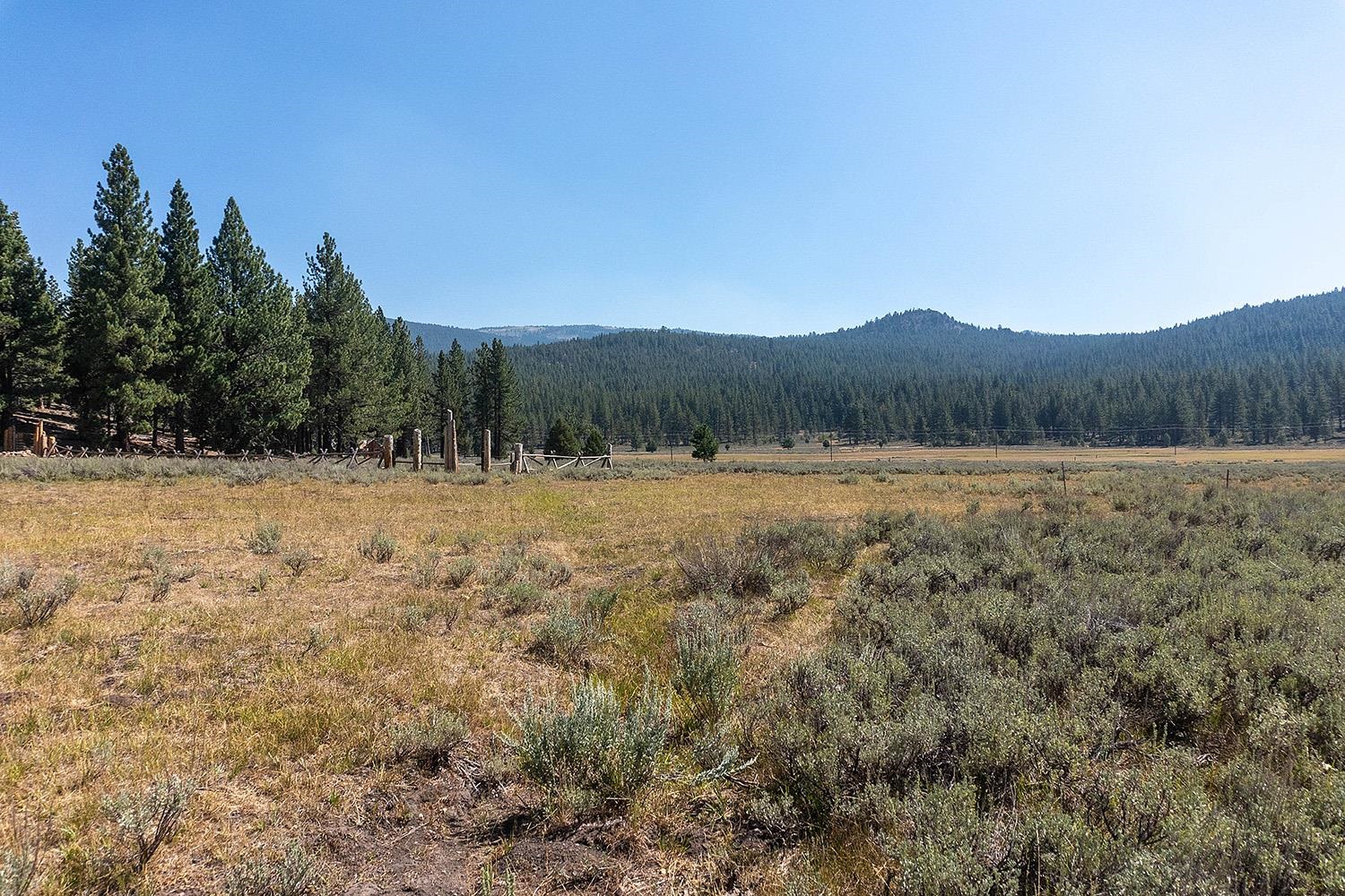 MLS #20241795 image #8