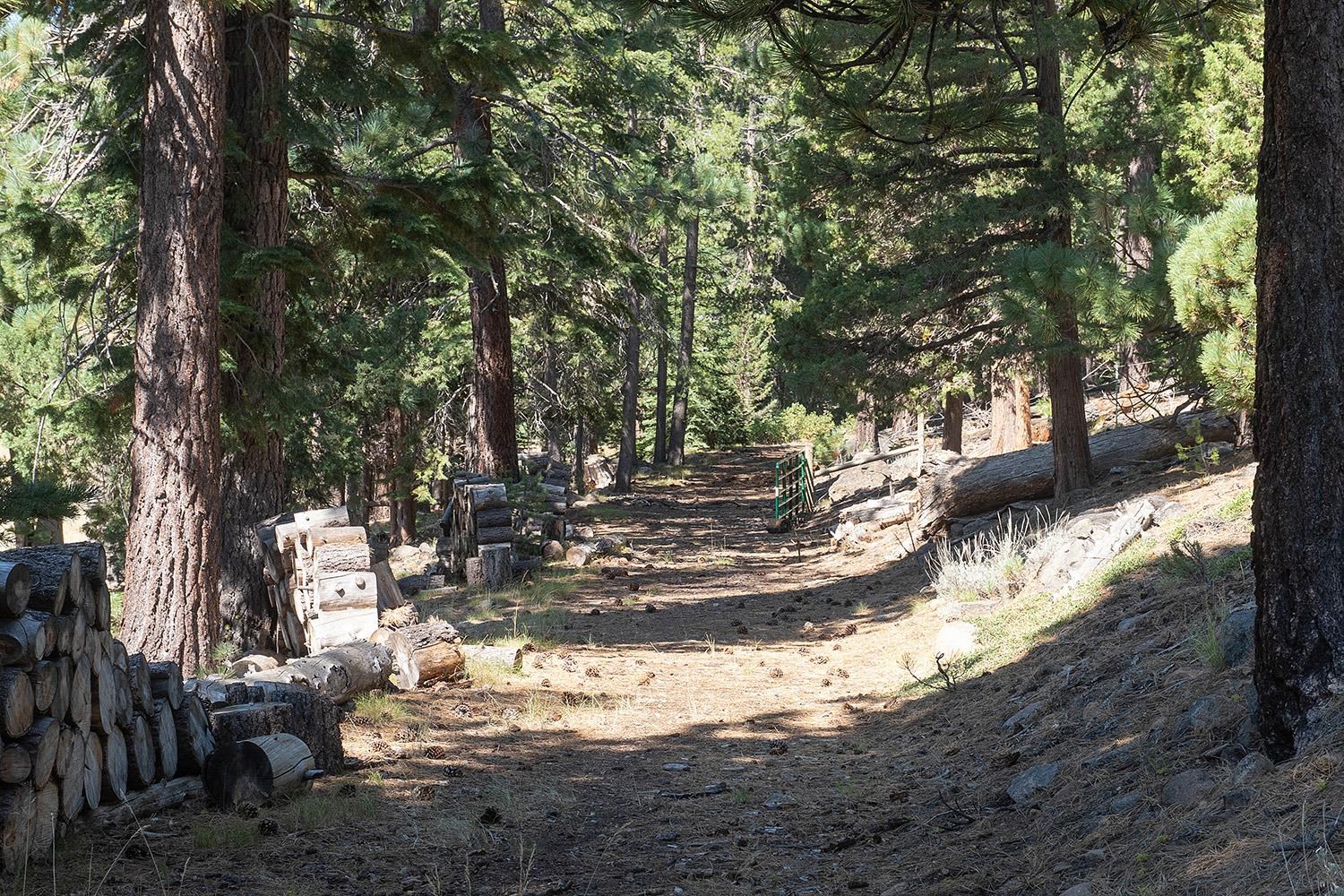 MLS #20241795 image #9