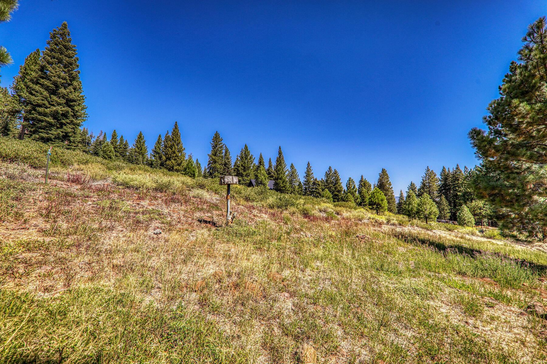 MLS #20241820 image #20