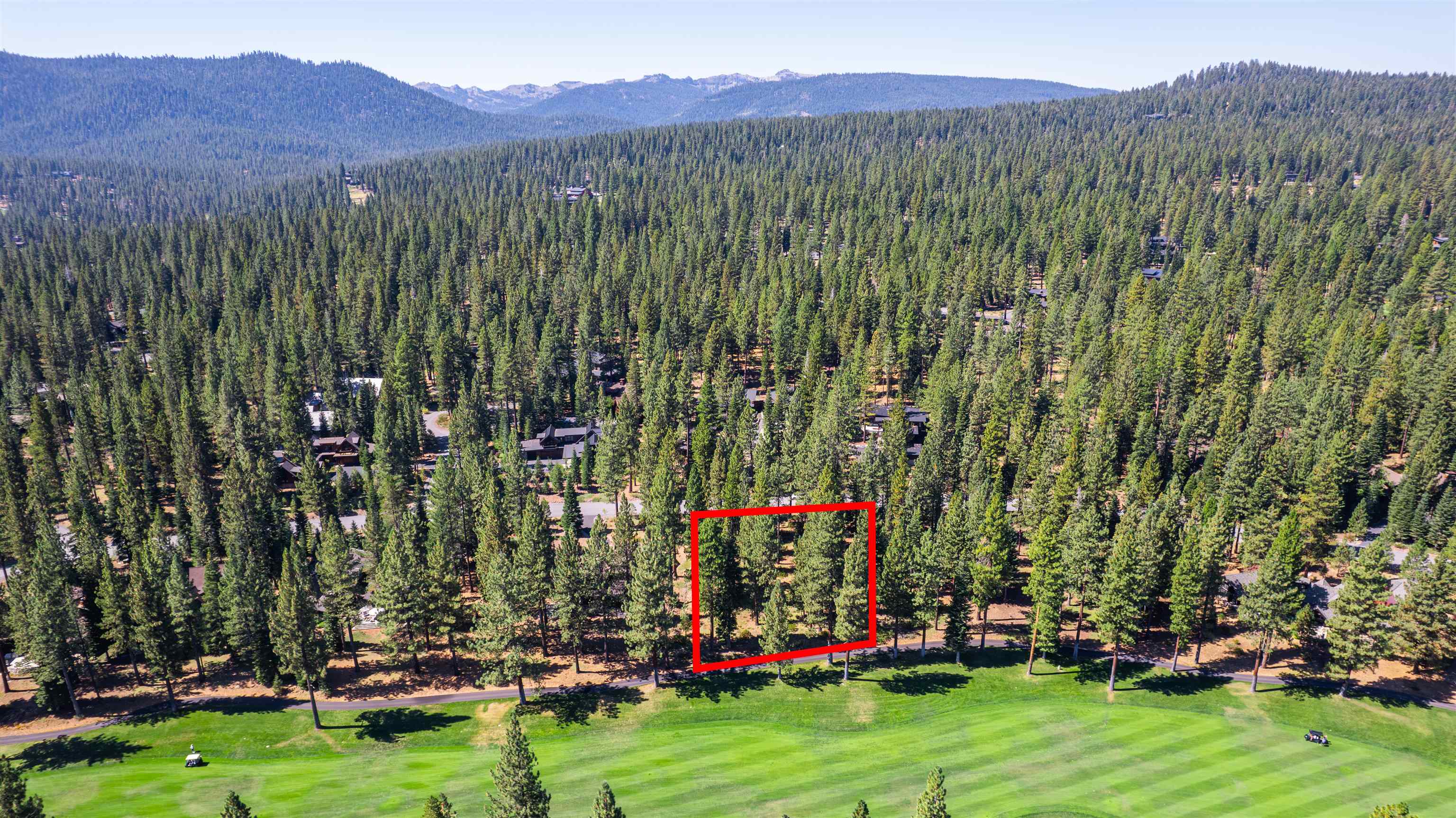 MLS #20241910 image #5