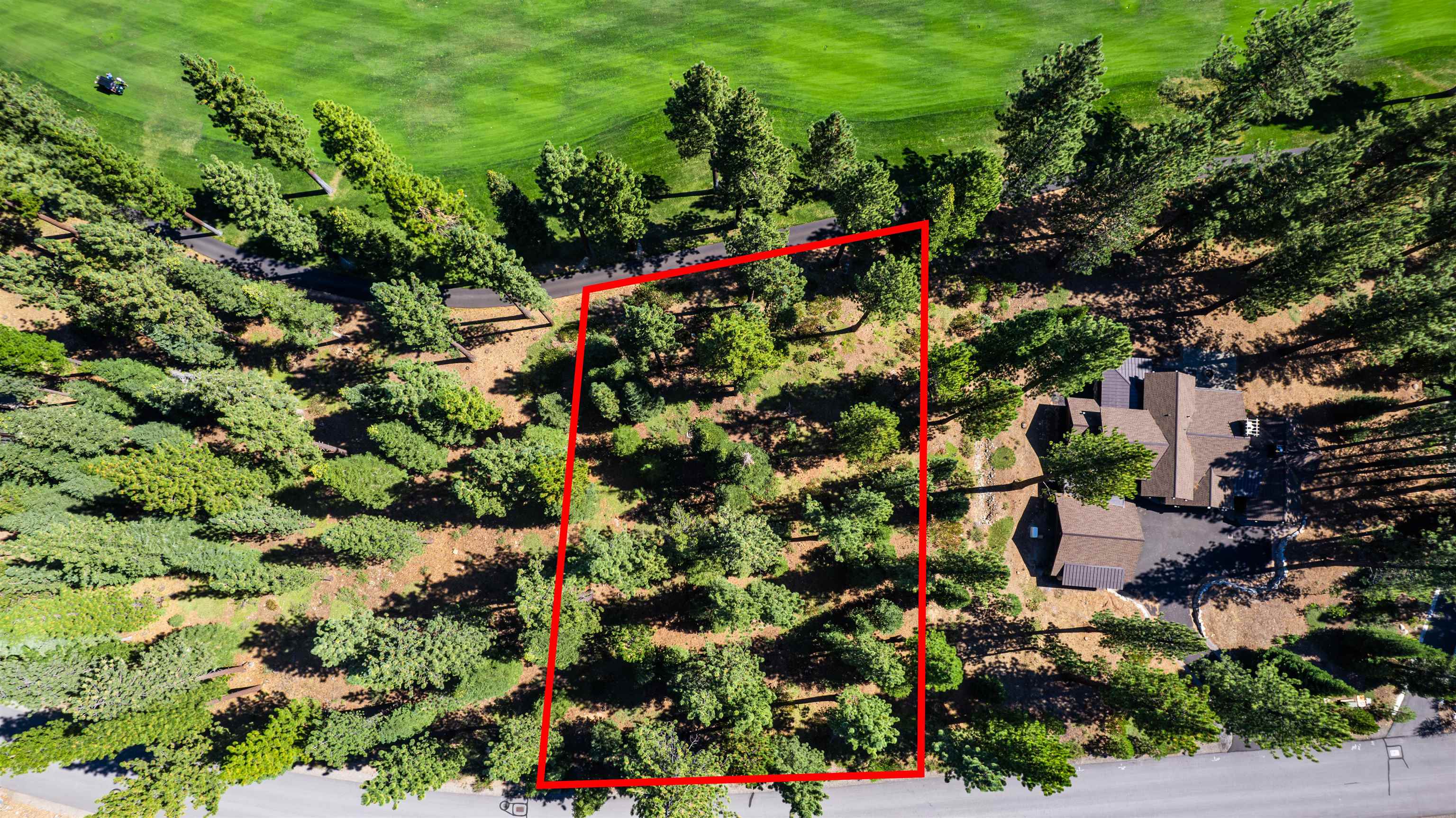 MLS #20241910 image #9