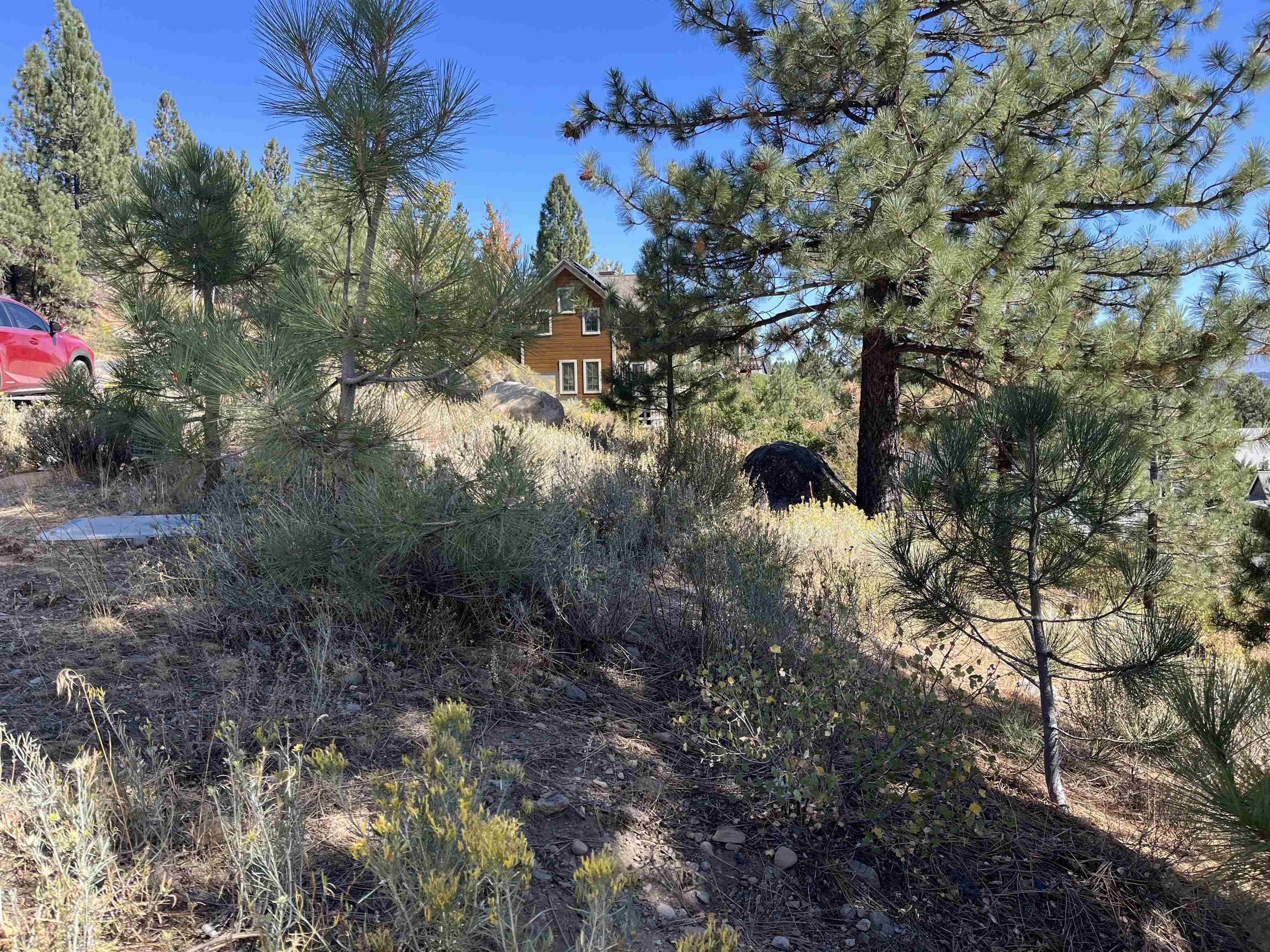 MLS #20241954 image #6