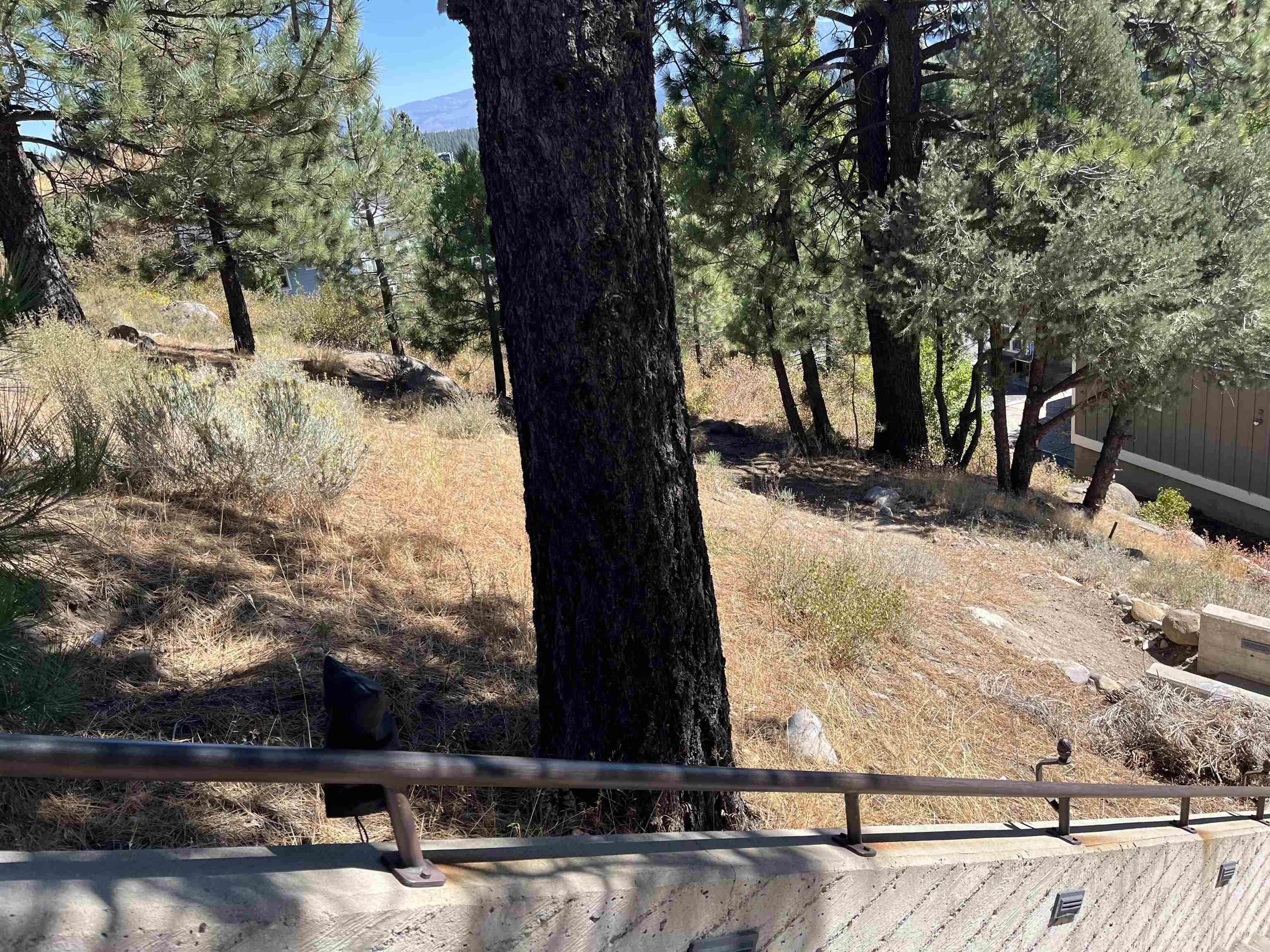 MLS #20241954 image #7