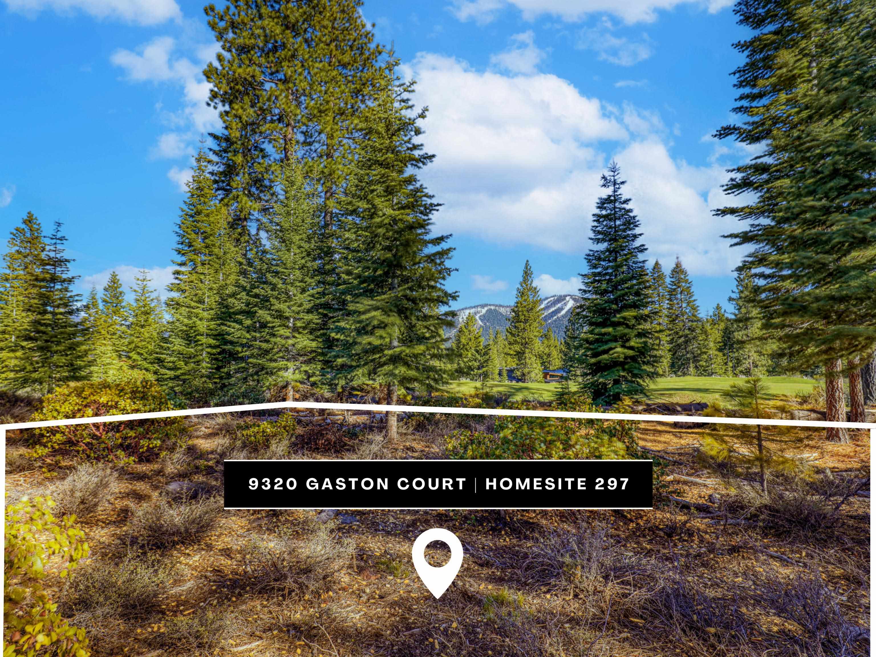 MLS #20241976 image #5