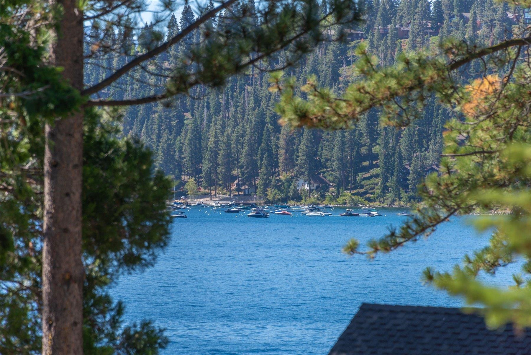 MLS #20241987 image #16