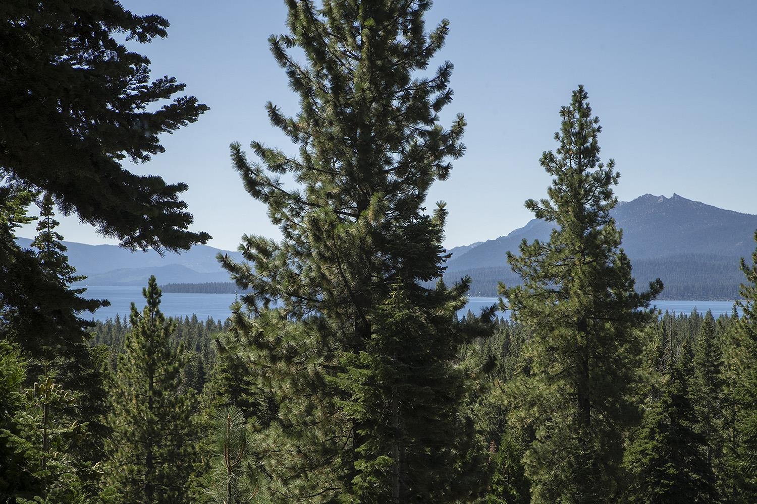 MLS #20242001 image #0