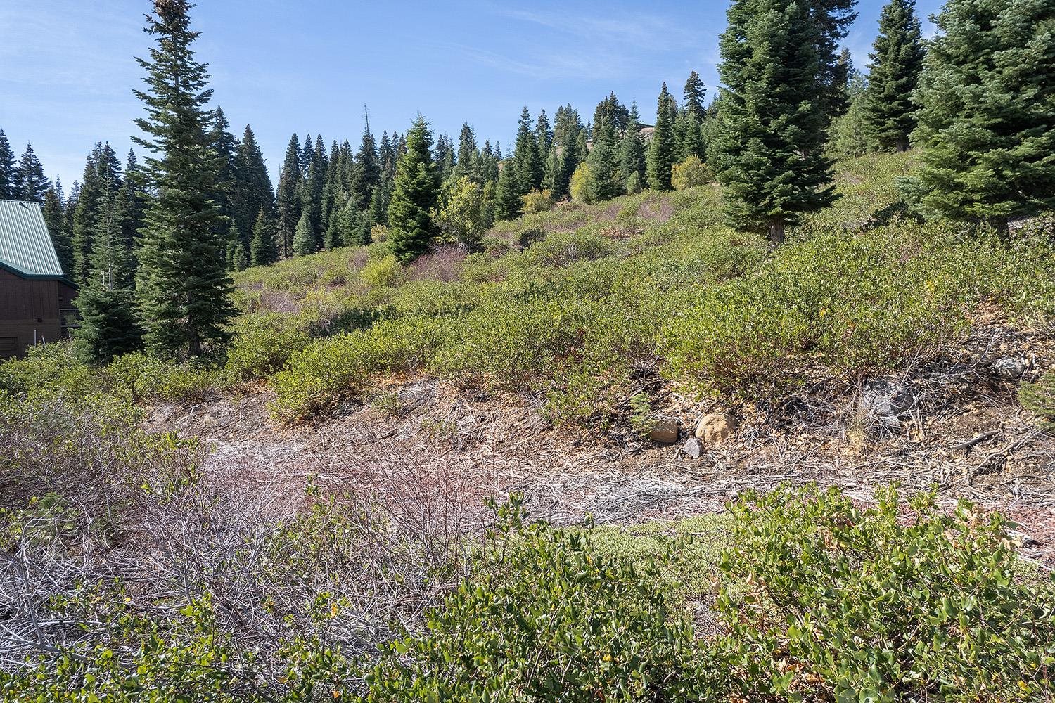 MLS #20242136 image #10