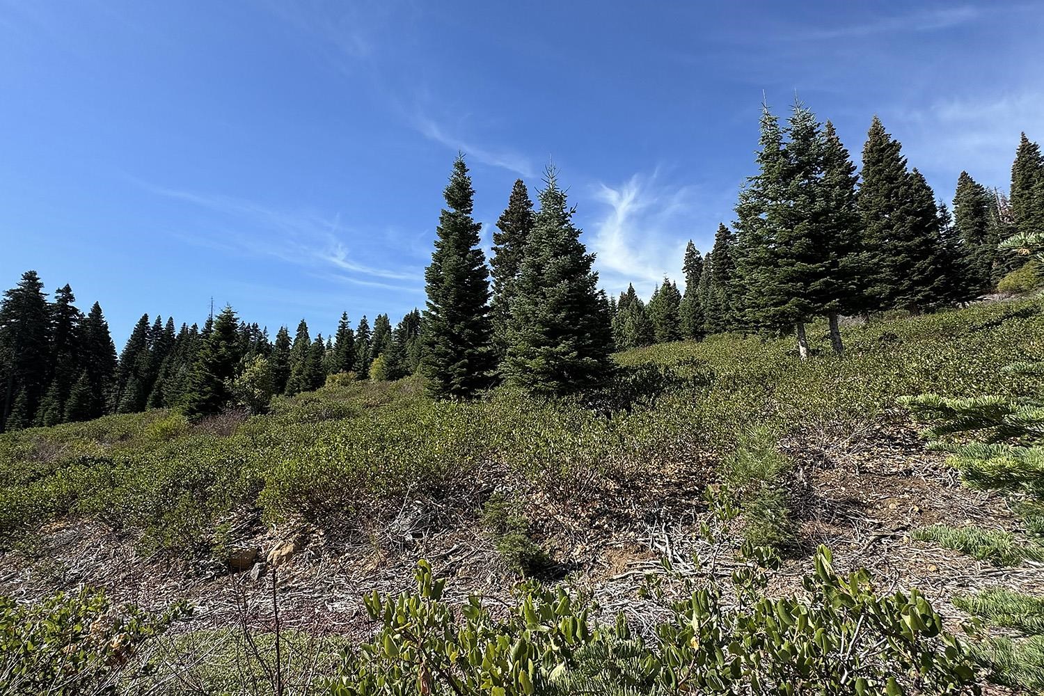 MLS #20242136 image #12