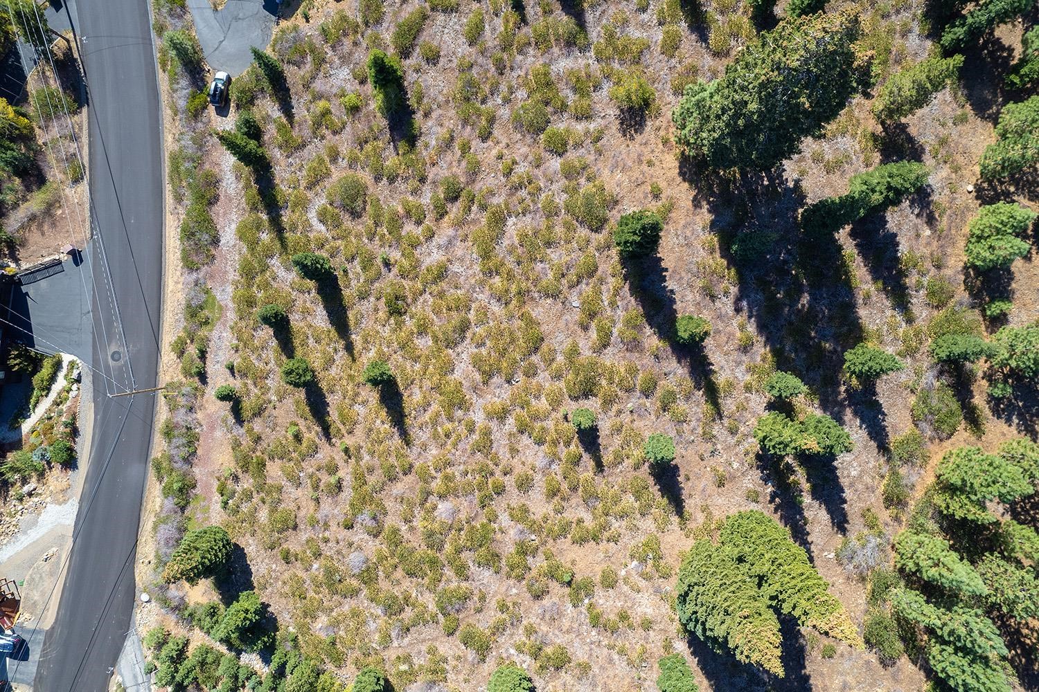 MLS #20242136 image #2