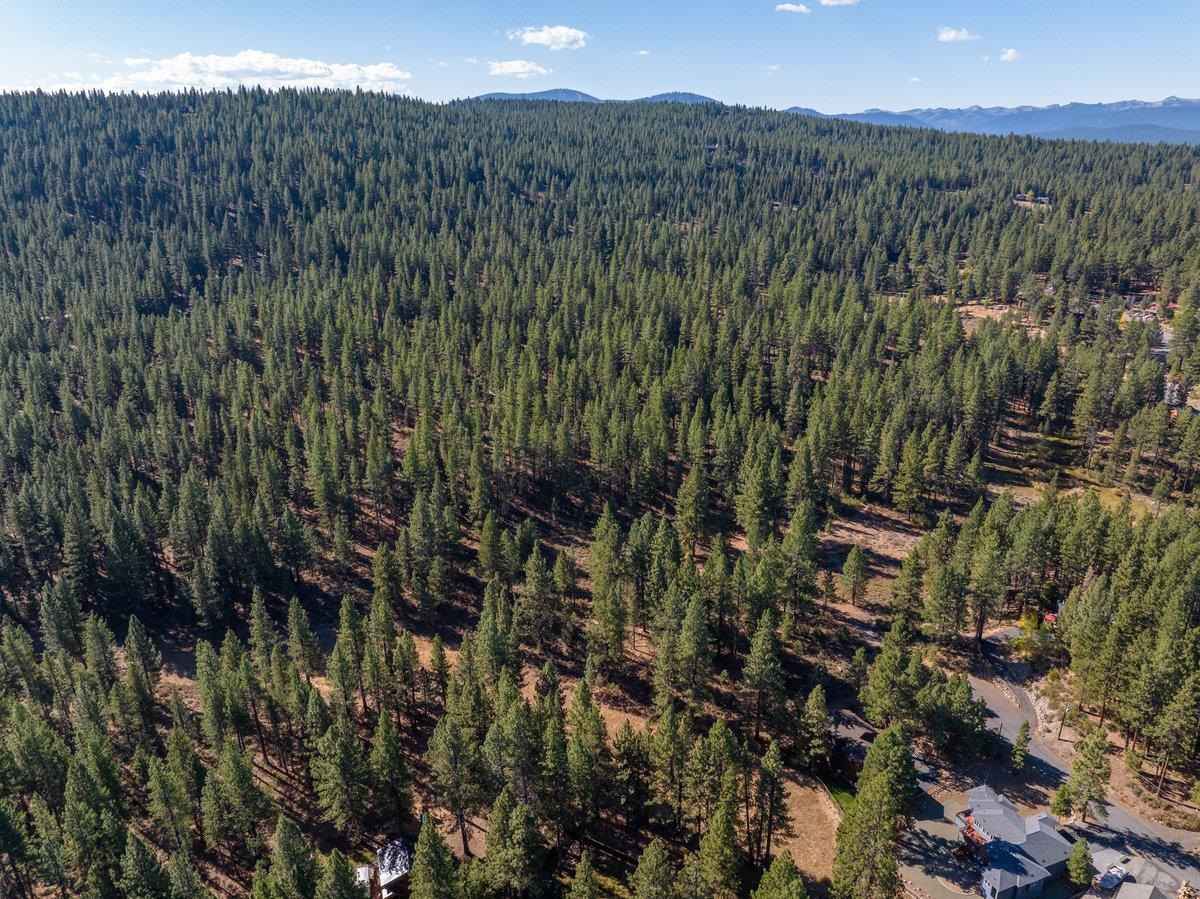 MLS #20242231 image #3