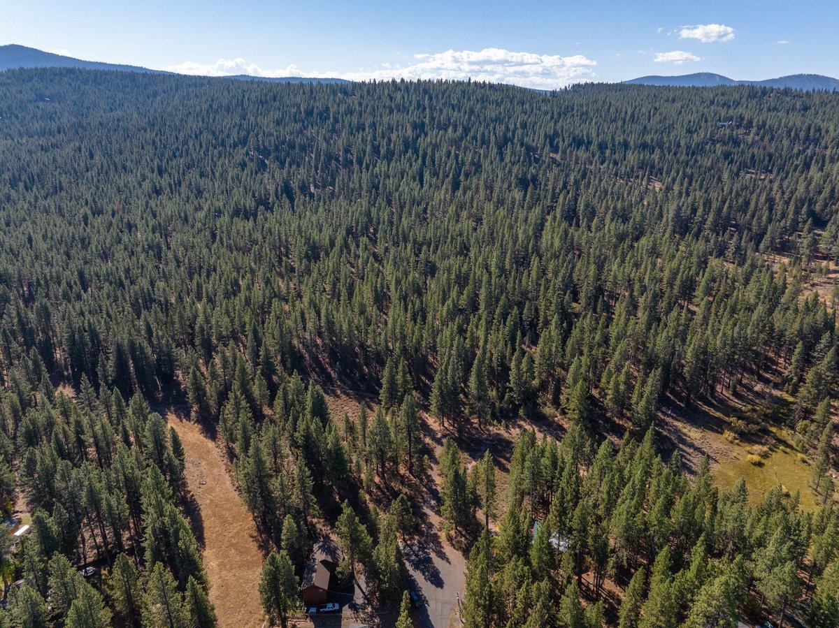 MLS #20242234 image #5